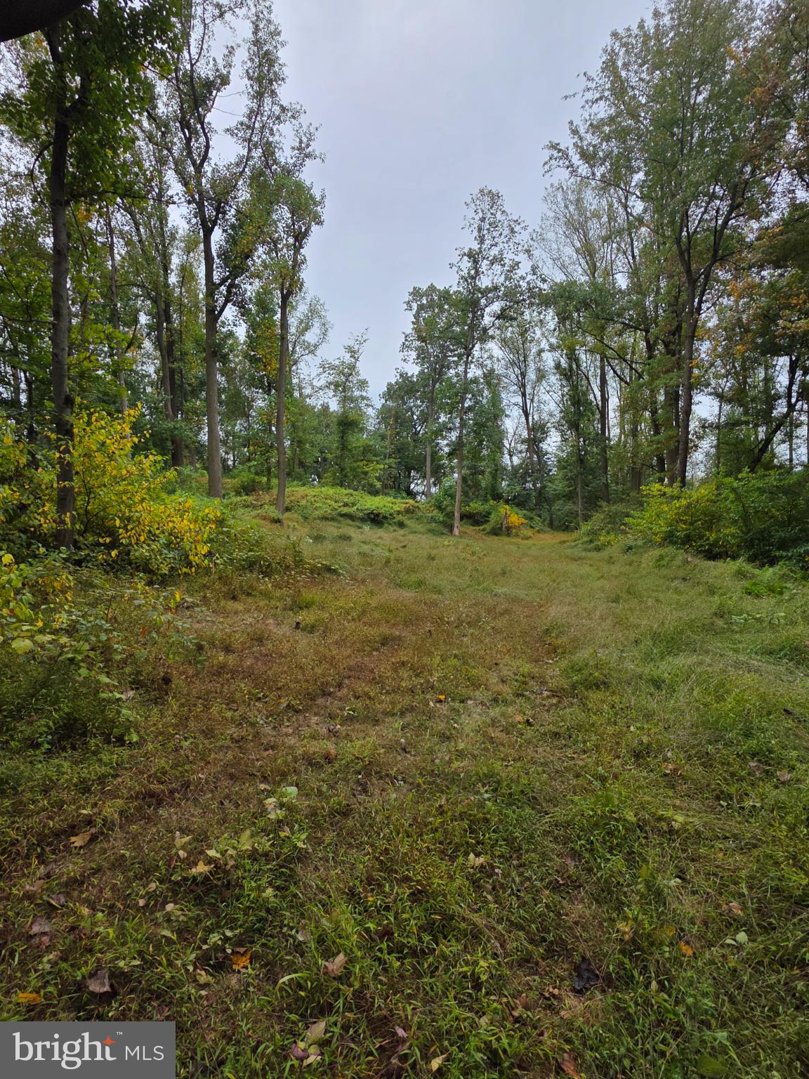 0 E OF MOUNTAIN TRAIL ROAD