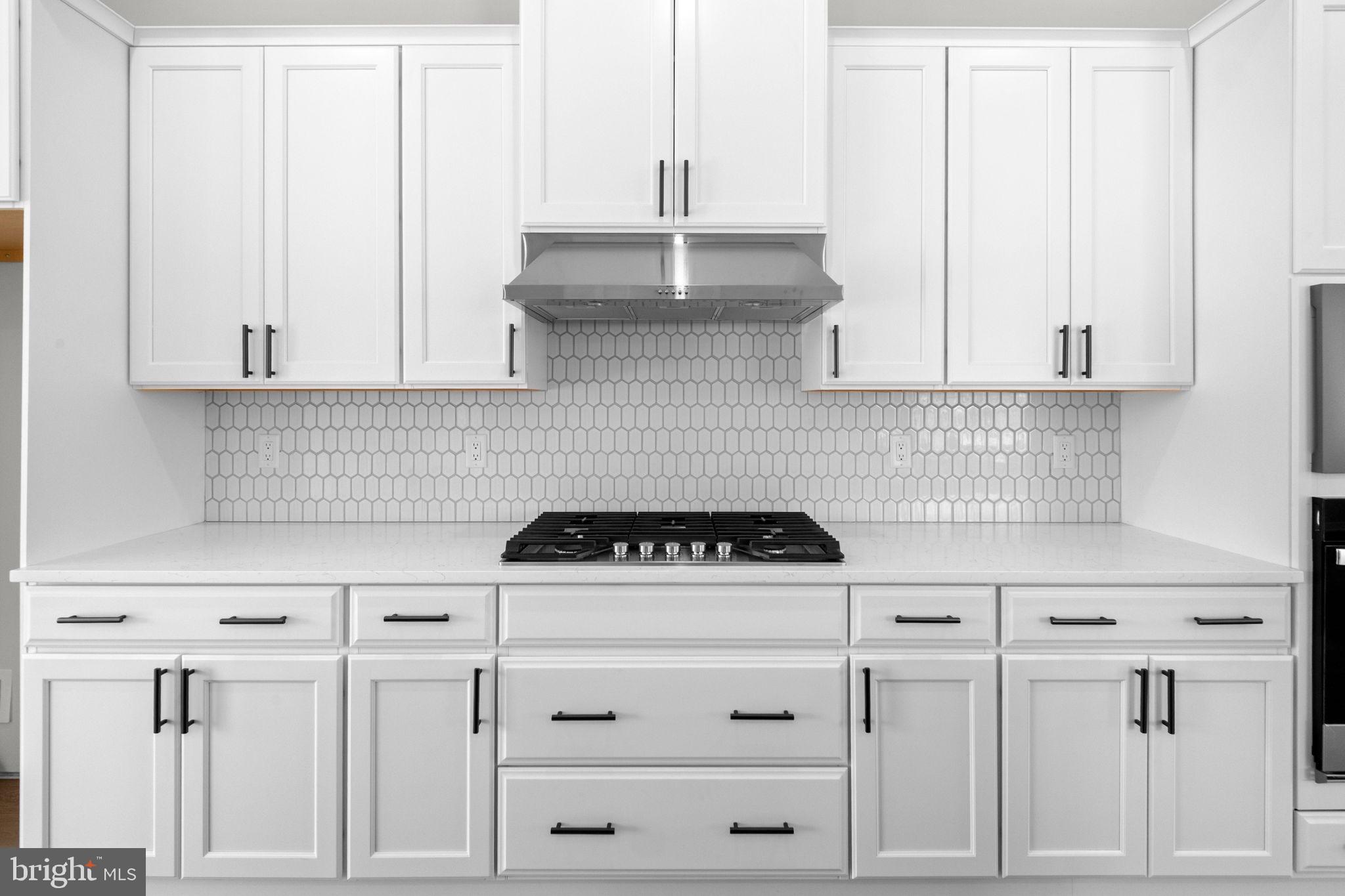 RIVER TRAIL AT VALLEY FORGE - Residential