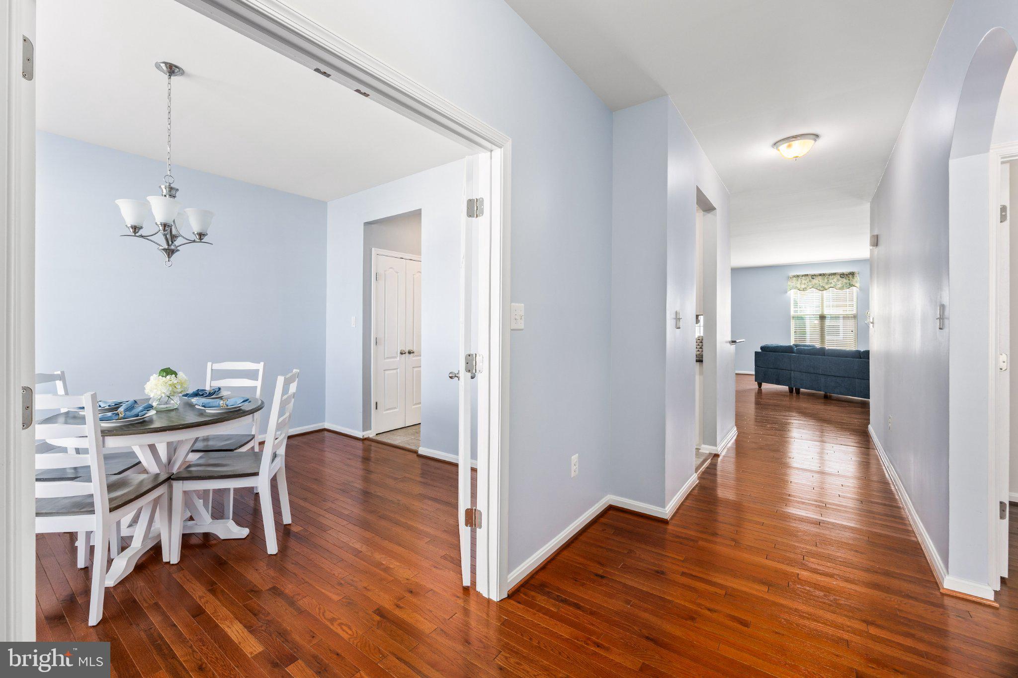 25359 SHELBY COURT