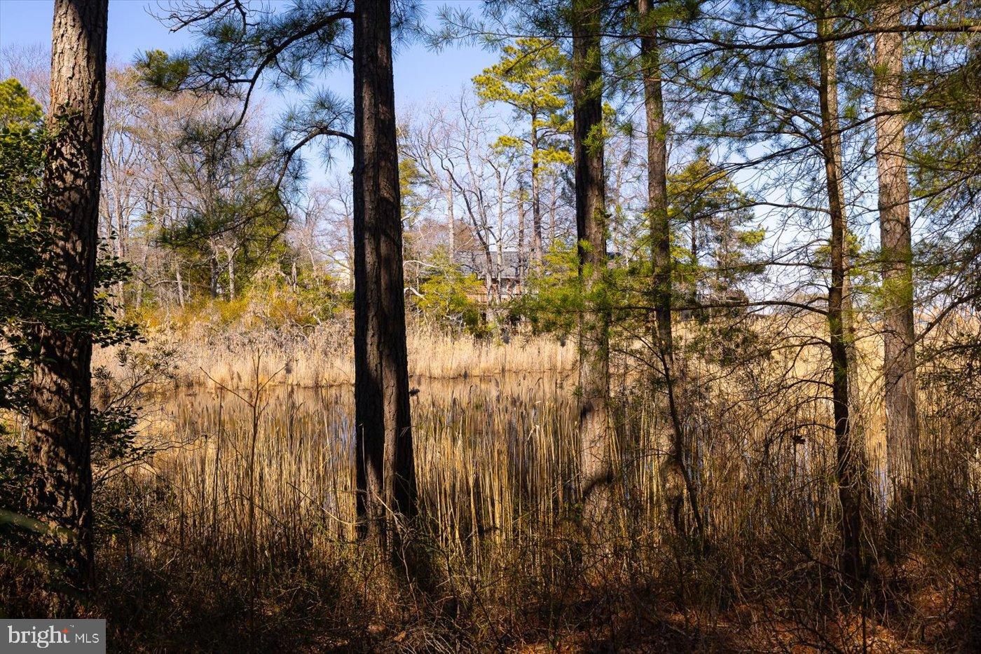 CABIN POINT / GLEBE HARBOR - Residential