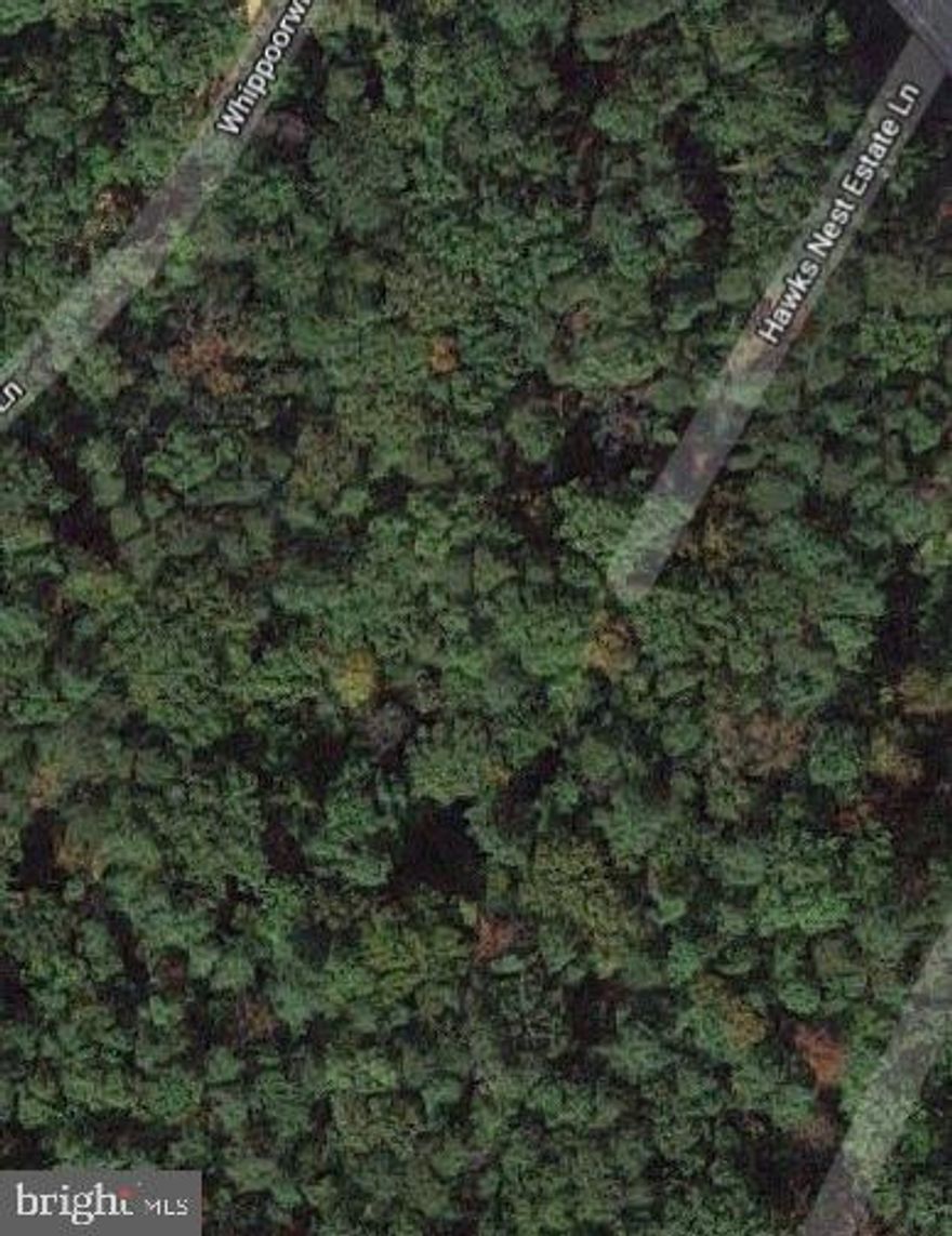 4.9 acres of peaceful, awesomeness. Build your dream home. ABSOLUTELY WONDERFUL LOCATION!! Property has perc.
