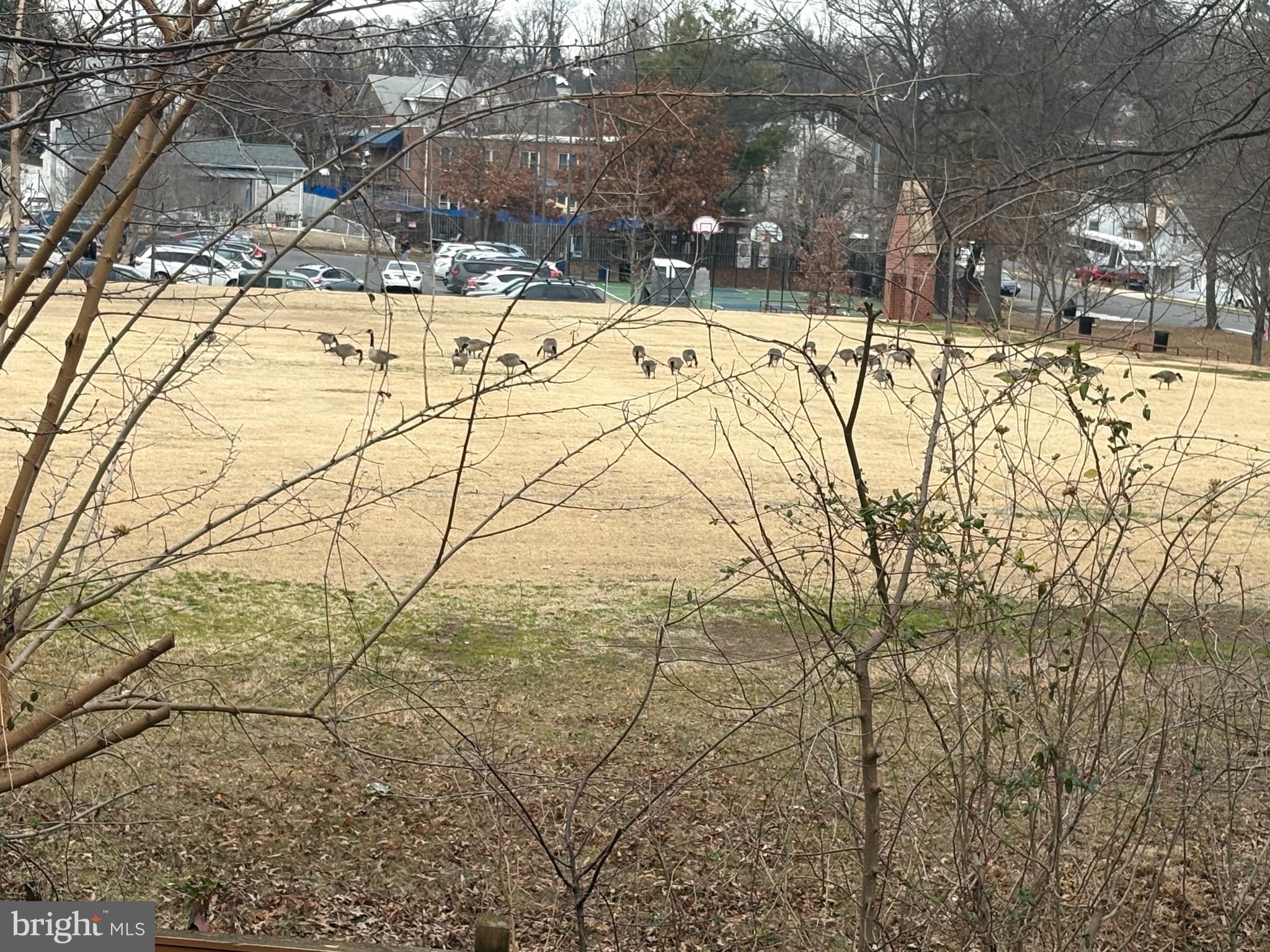 NAUCK GREEN VALLEY - Residential