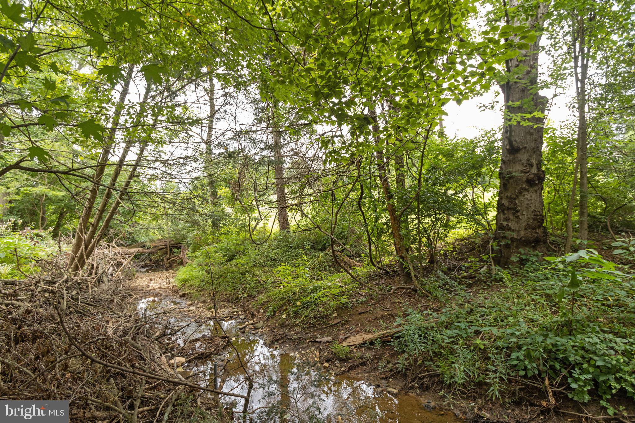 BROOKRIDGE SOUTH - Residential