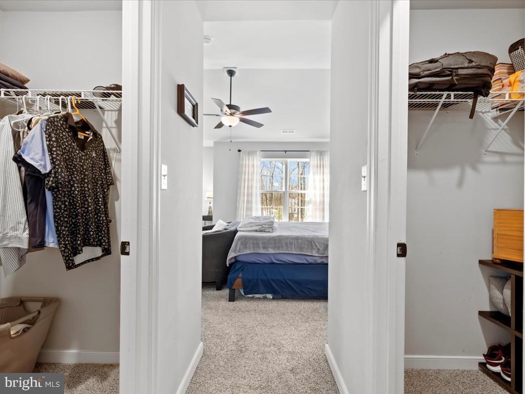 FOREST VIEW - Residential