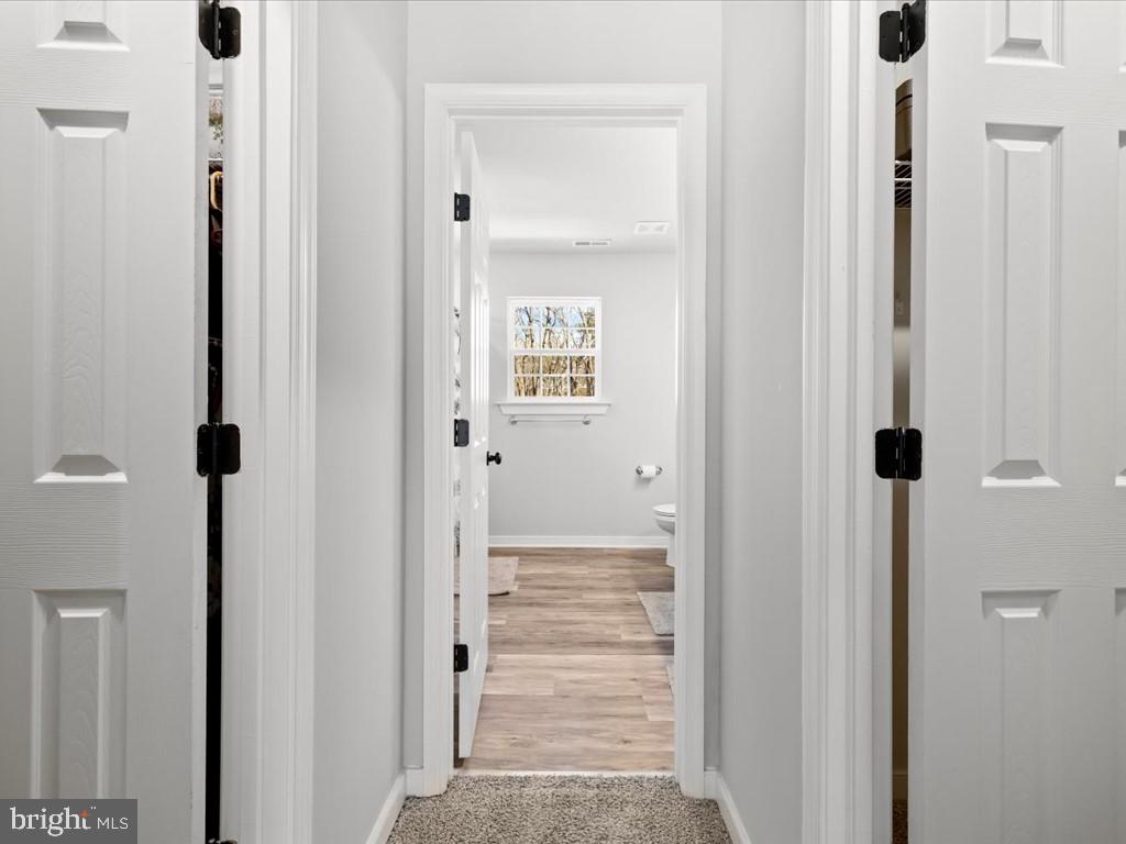 FOREST VIEW - Residential