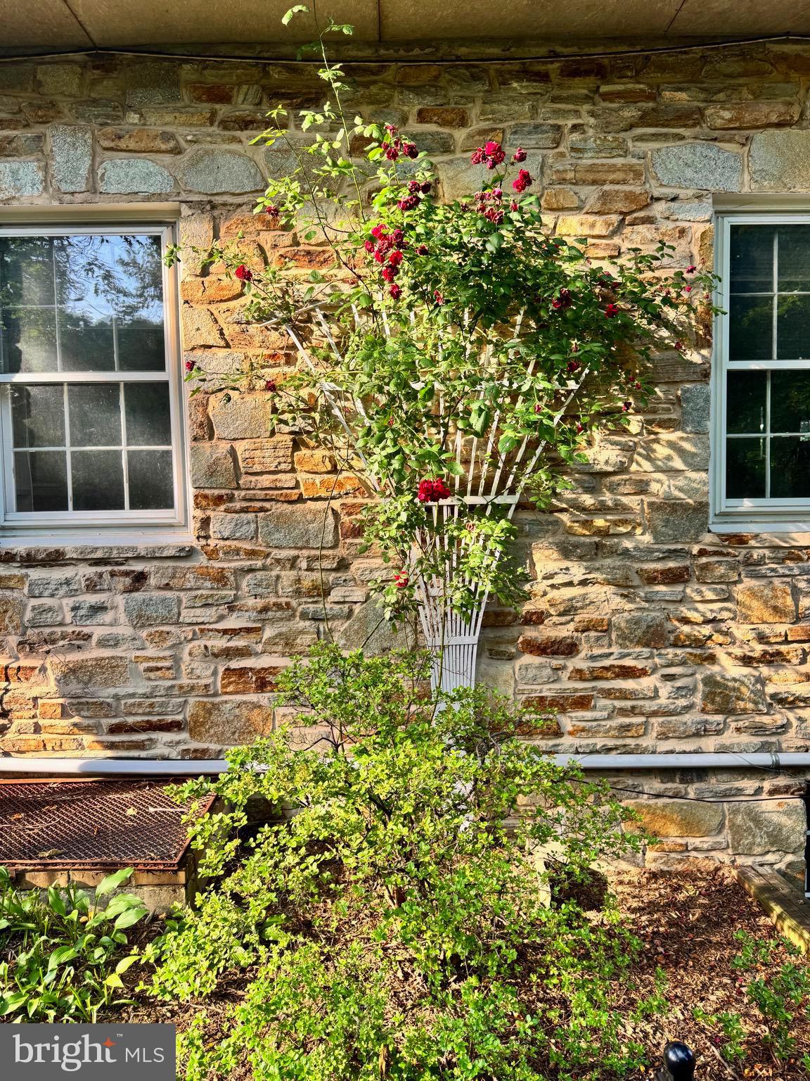 FELLOWSHIP FOREST - Residential