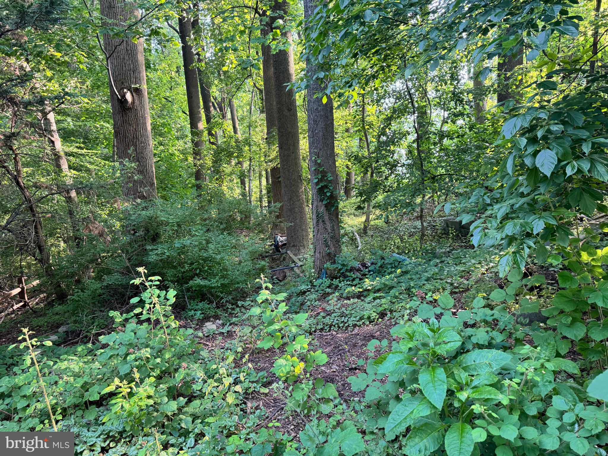 FELLOWSHIP FOREST - Residential