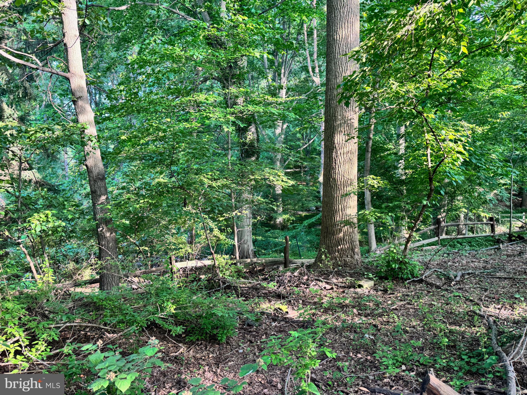 FELLOWSHIP FOREST - Residential