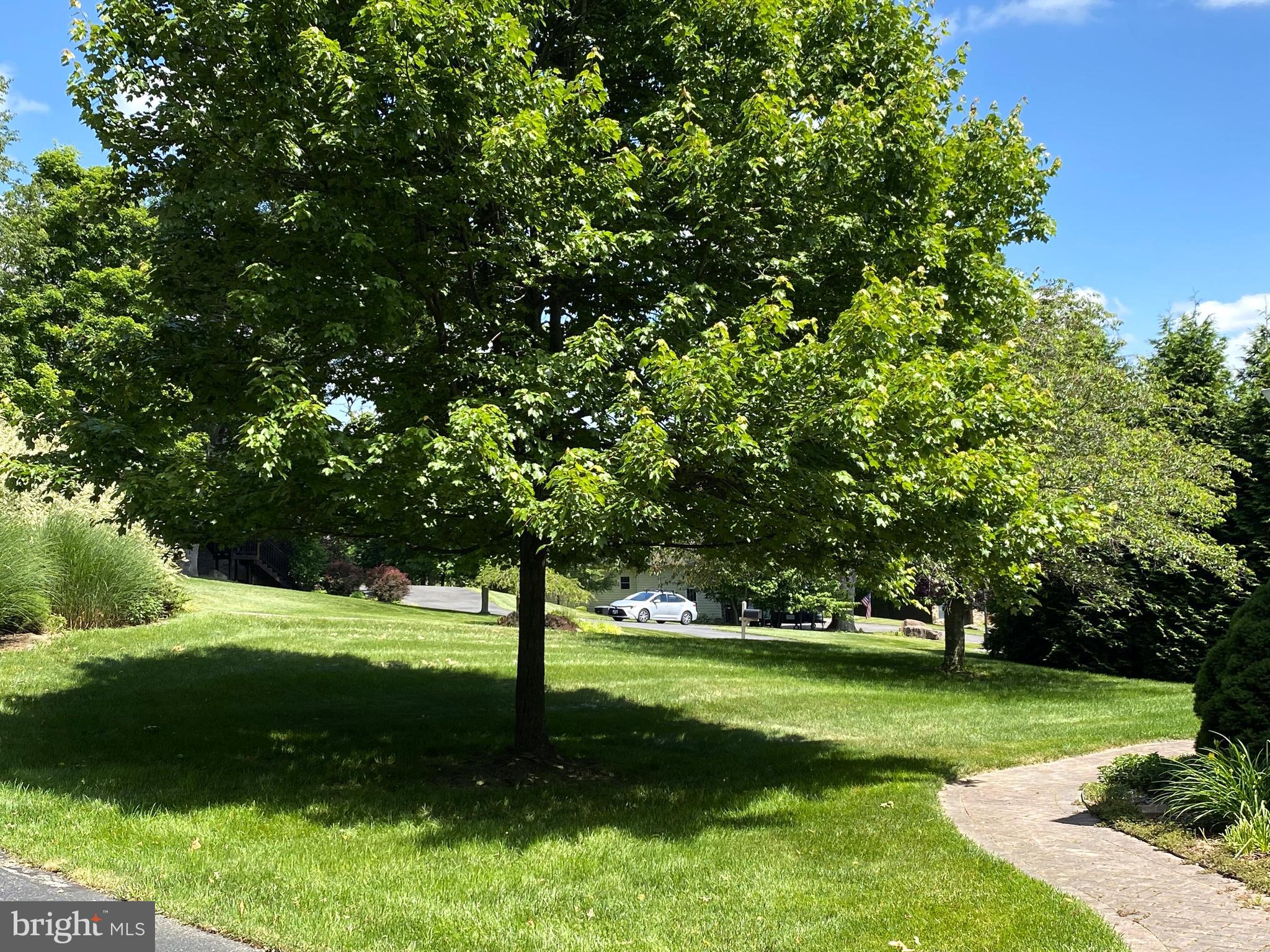 SAND SPRING RUN - Residential