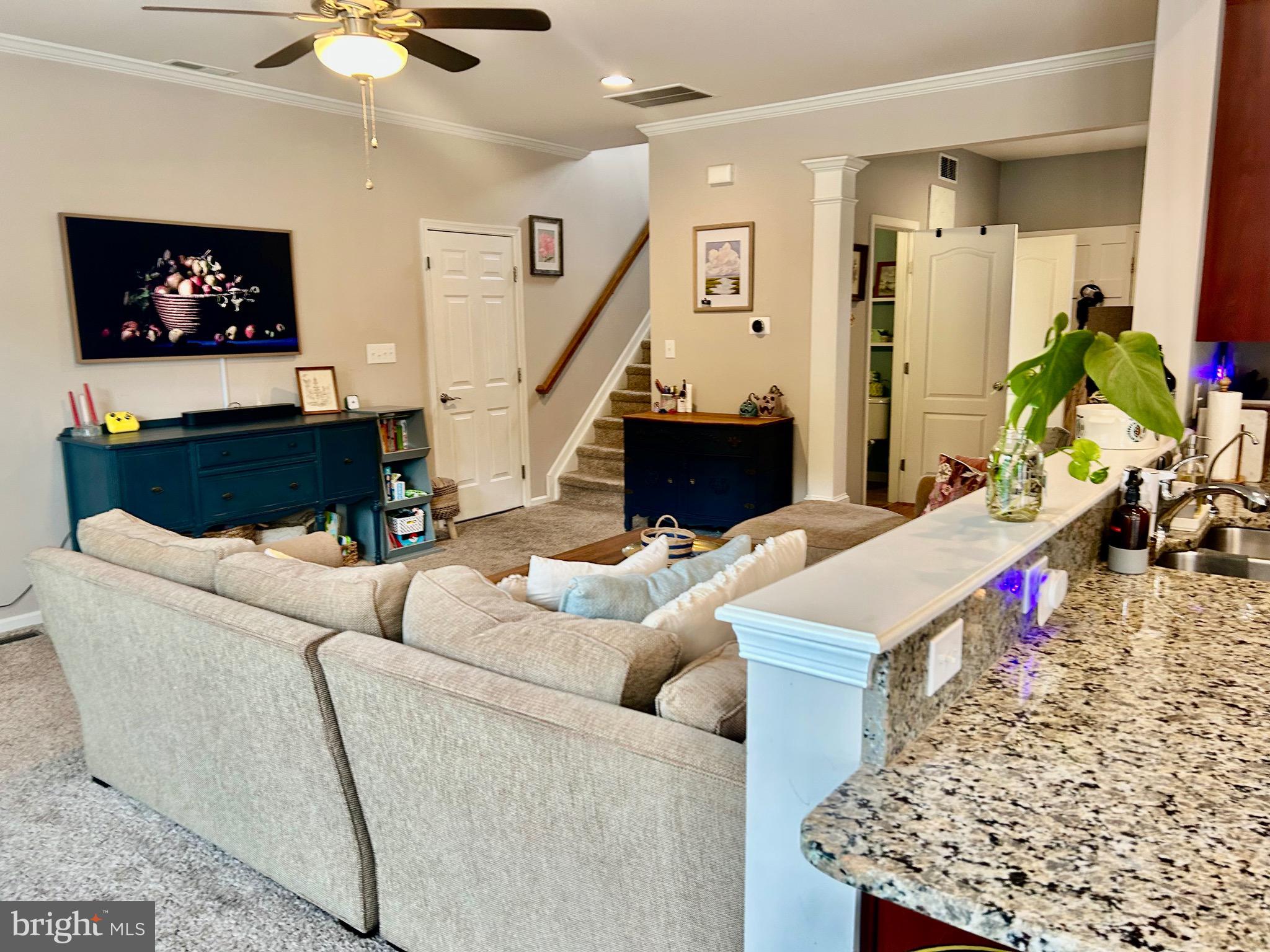 BLUEBERRY HILL - Residential