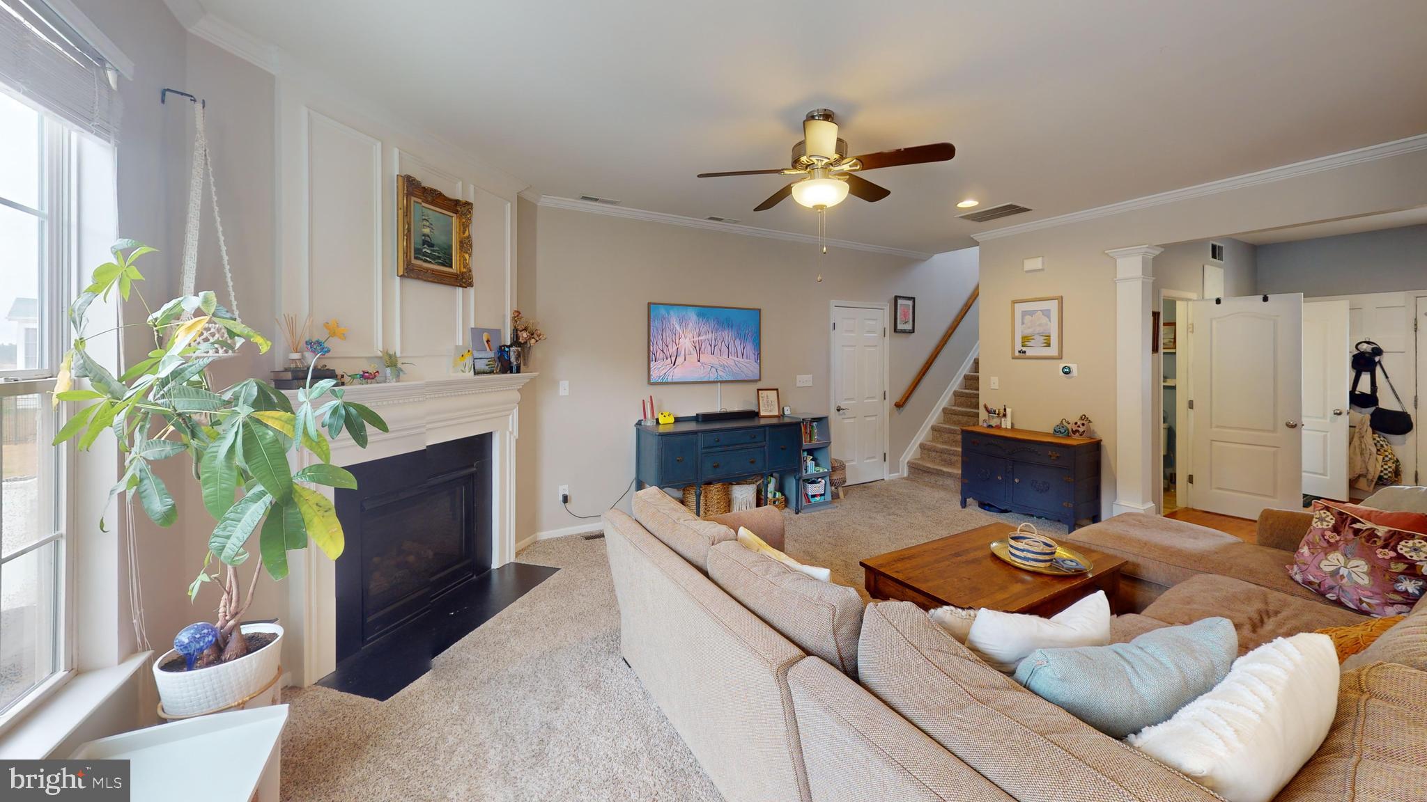 BLUEBERRY HILL - Residential