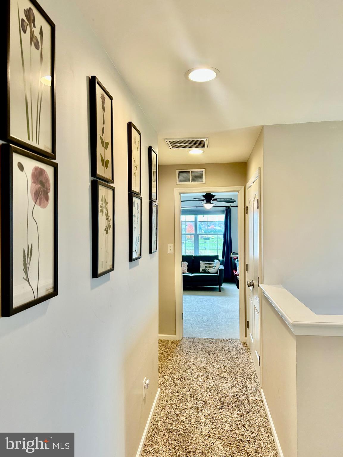 BLUEBERRY HILL - Residential