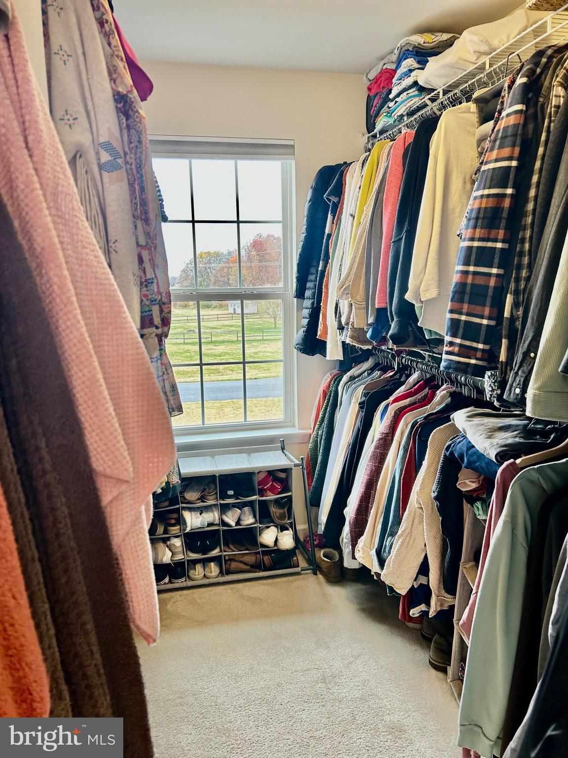 BLUEBERRY HILL - Residential