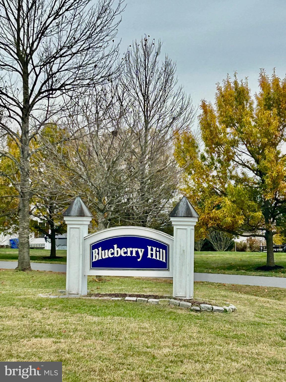 BLUEBERRY HILL - Residential
