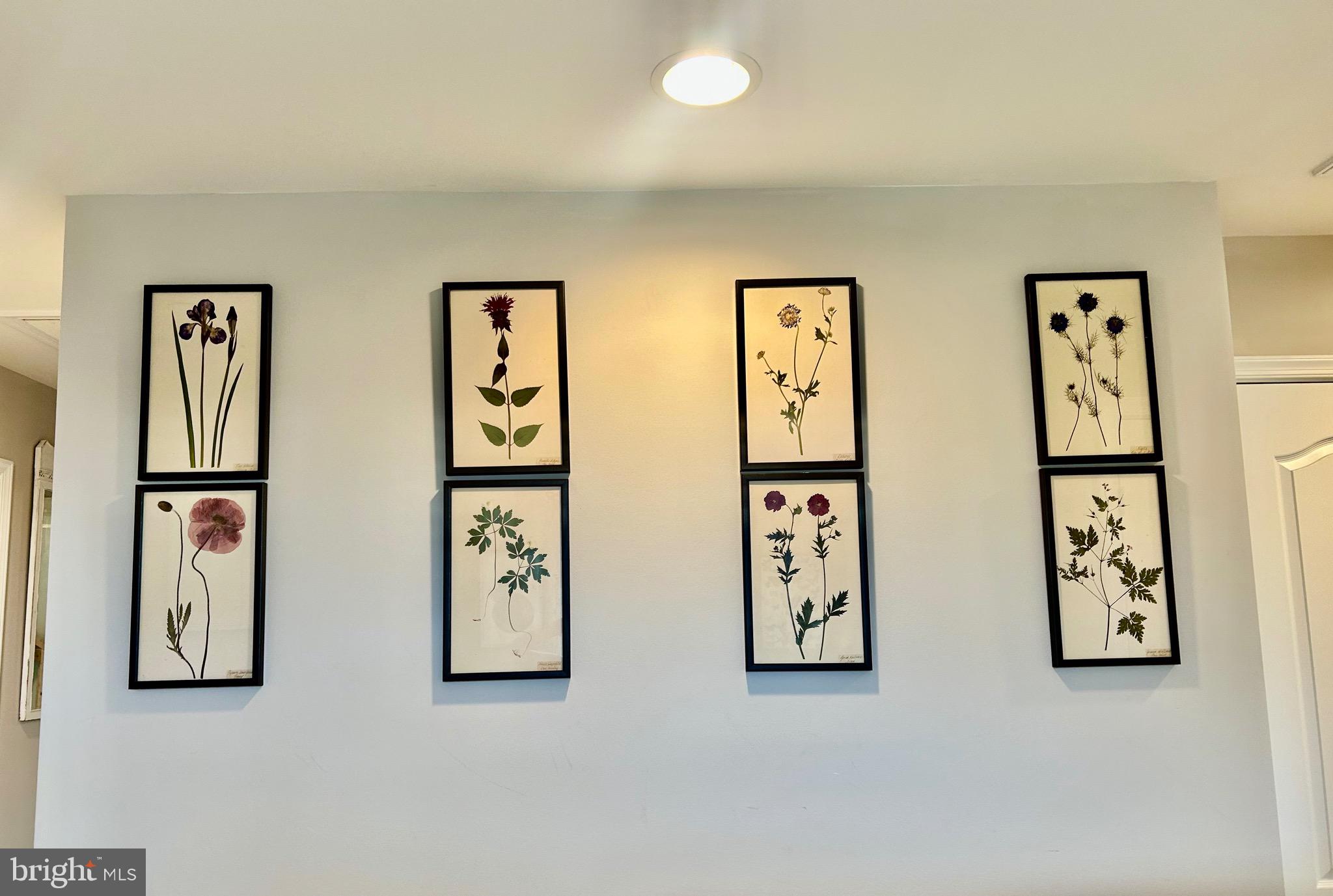 BLUEBERRY HILL - Residential