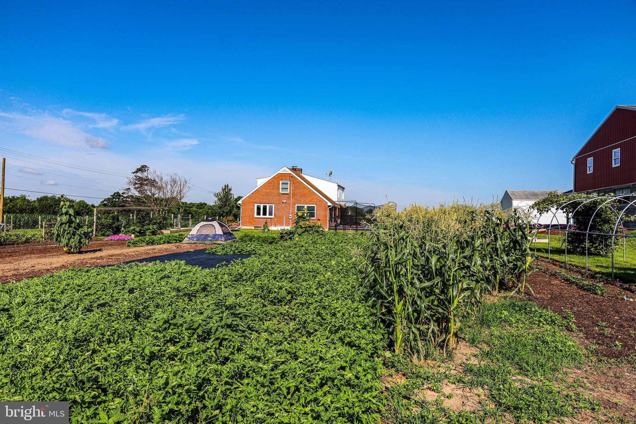 NONE AVAILABLE - Farm