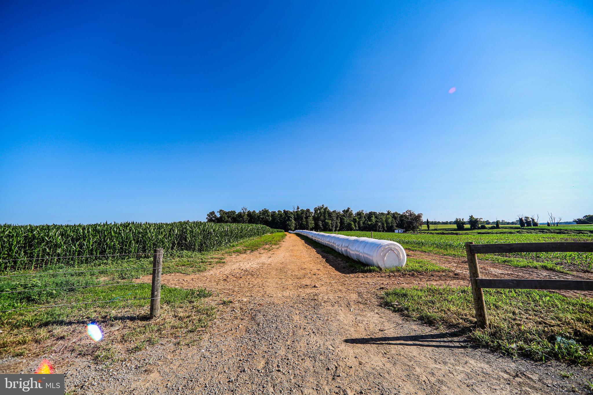 NONE AVAILABLE - Farm