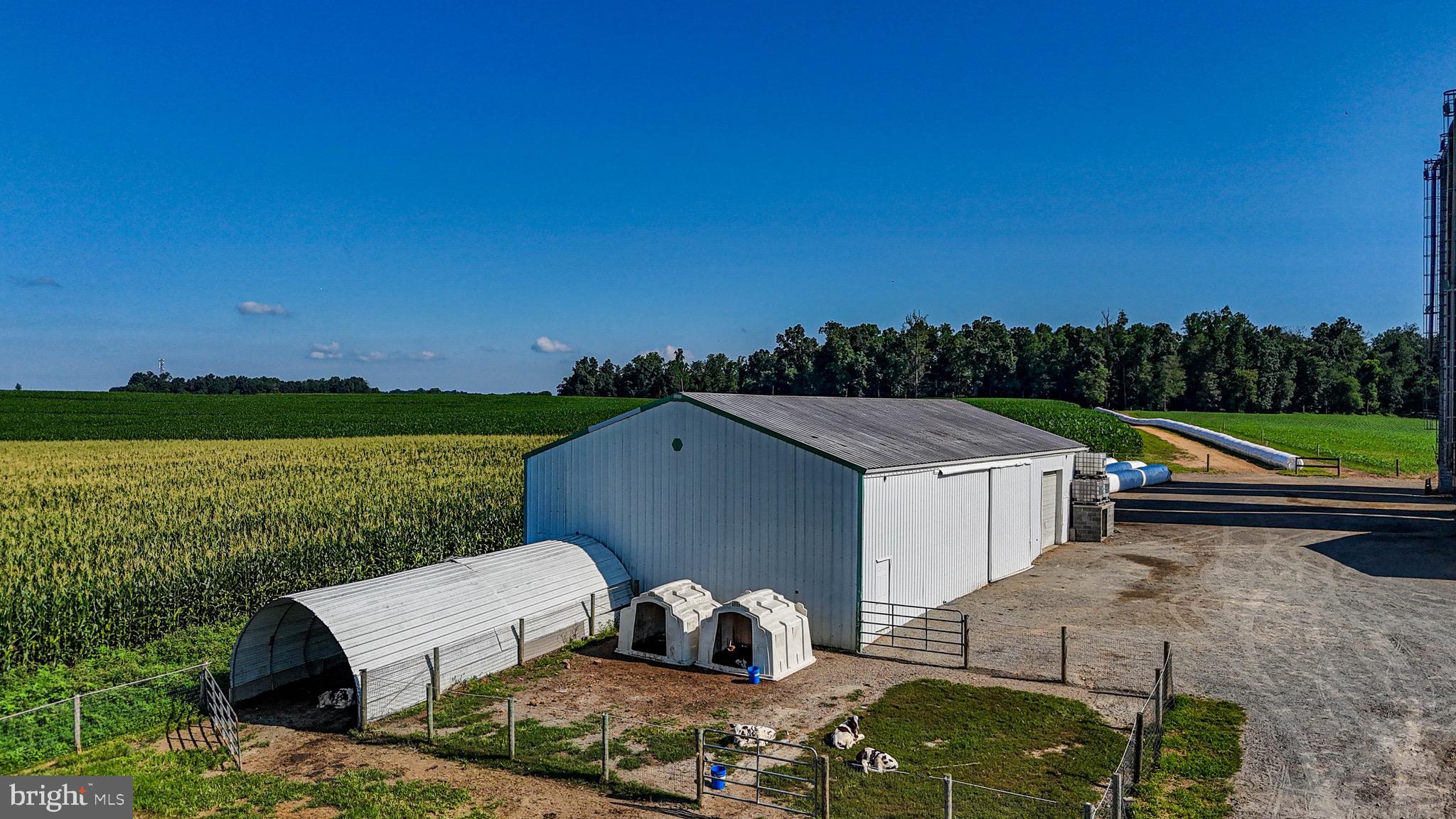 NONE AVAILABLE - Farm