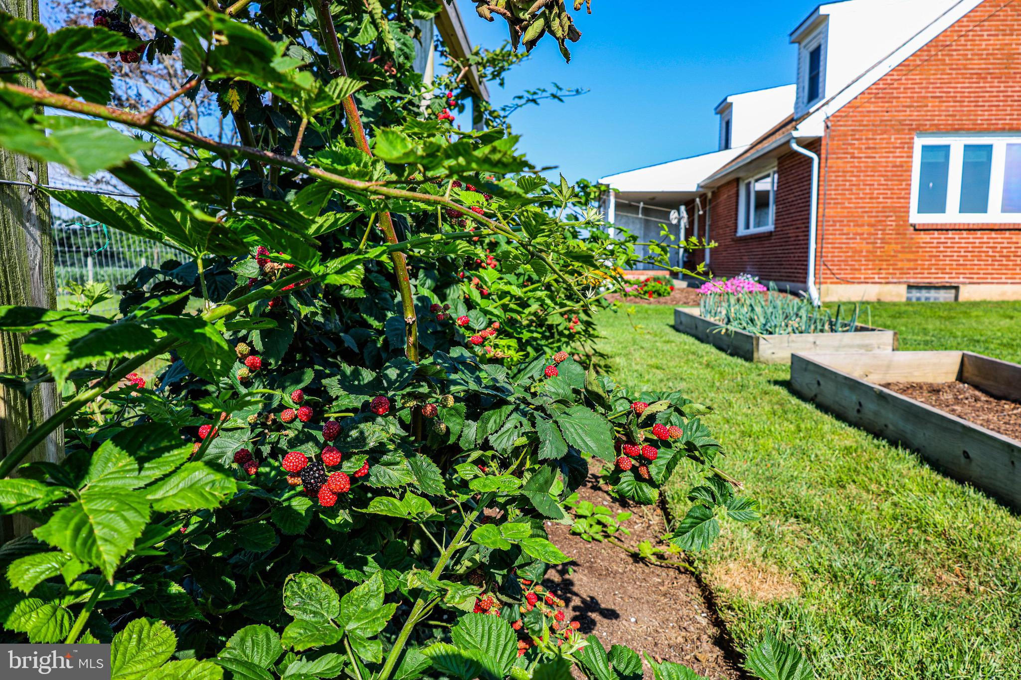 NONE AVAILABLE - Farm