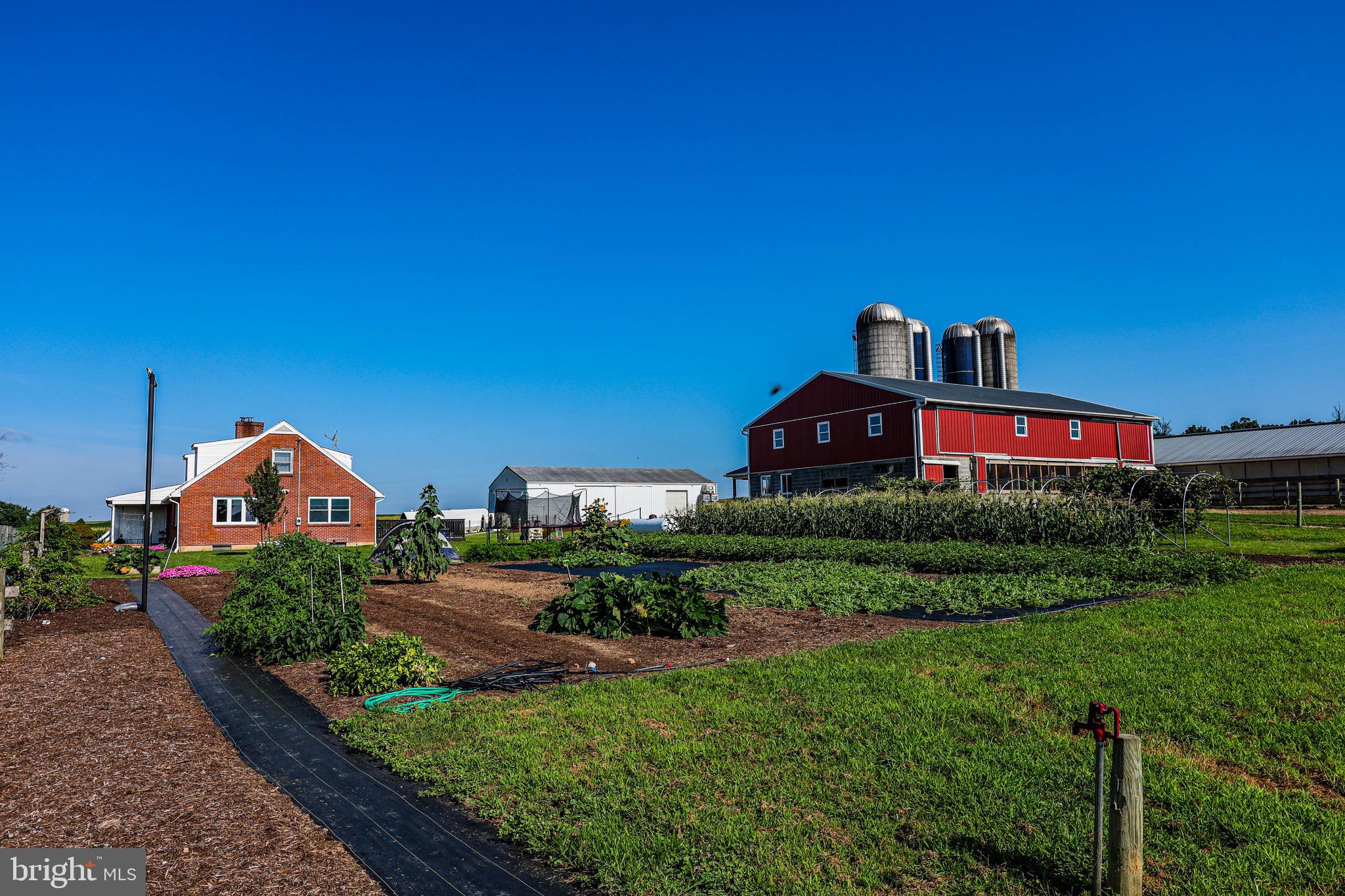 NONE AVAILABLE - Farm