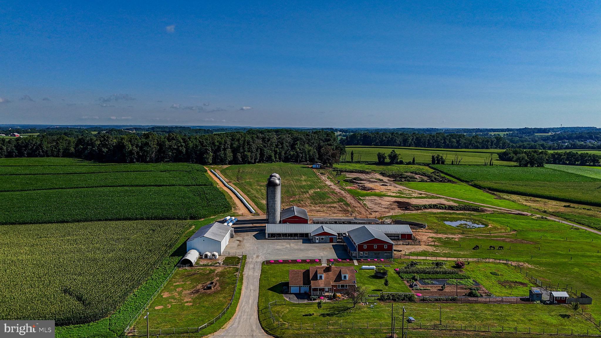 NONE AVAILABLE - Farm