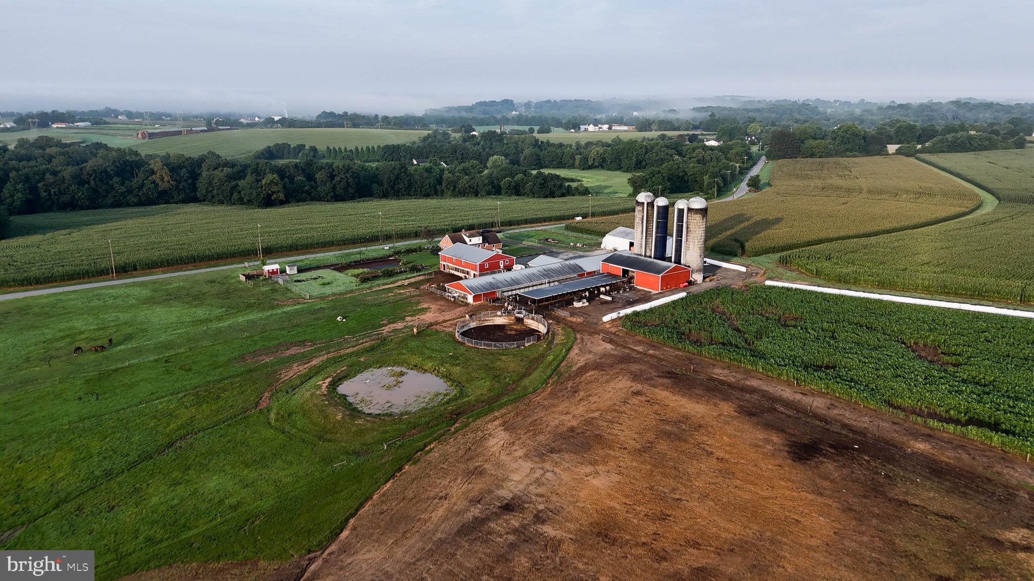 NONE AVAILABLE - Farm