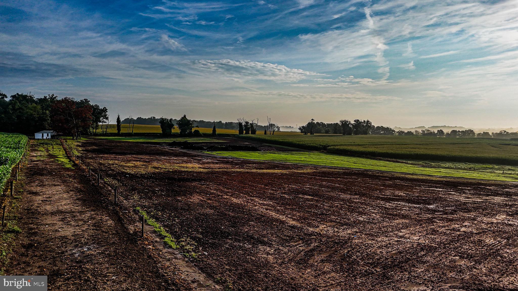 NONE AVAILABLE - Farm