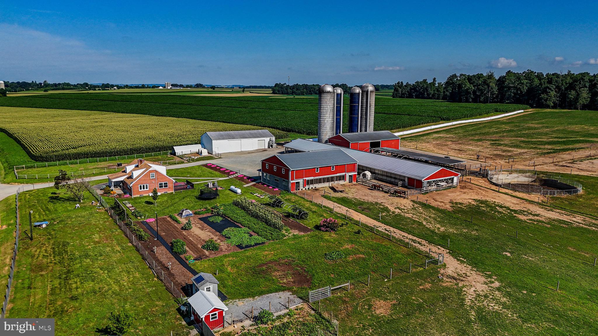 NONE AVAILABLE - Farm