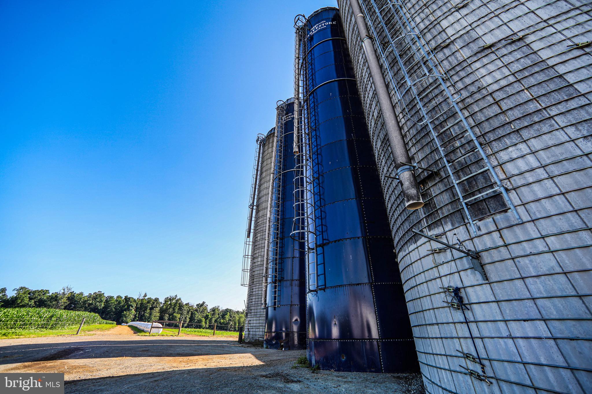 NONE AVAILABLE - Farm