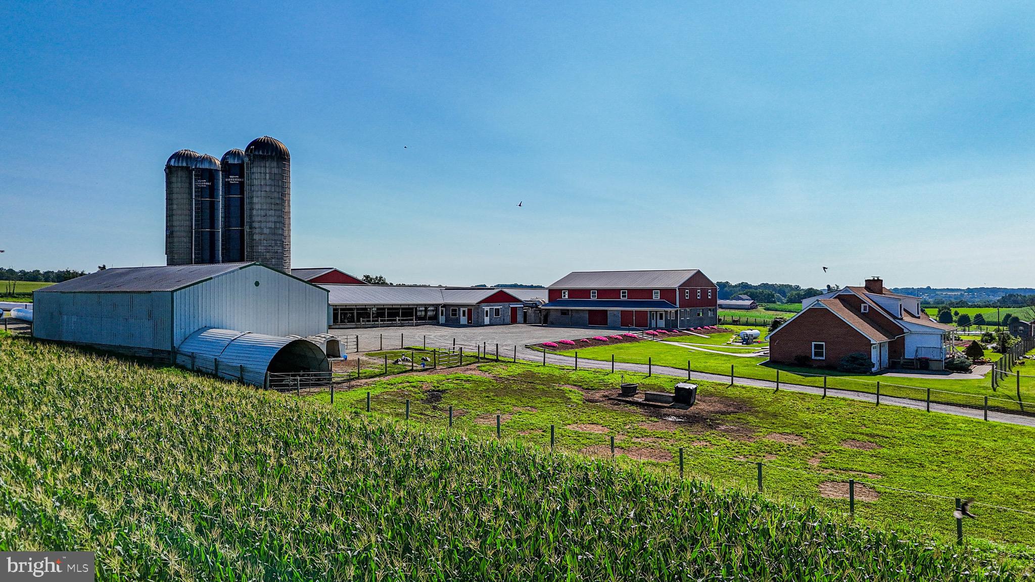 NONE AVAILABLE - Farm