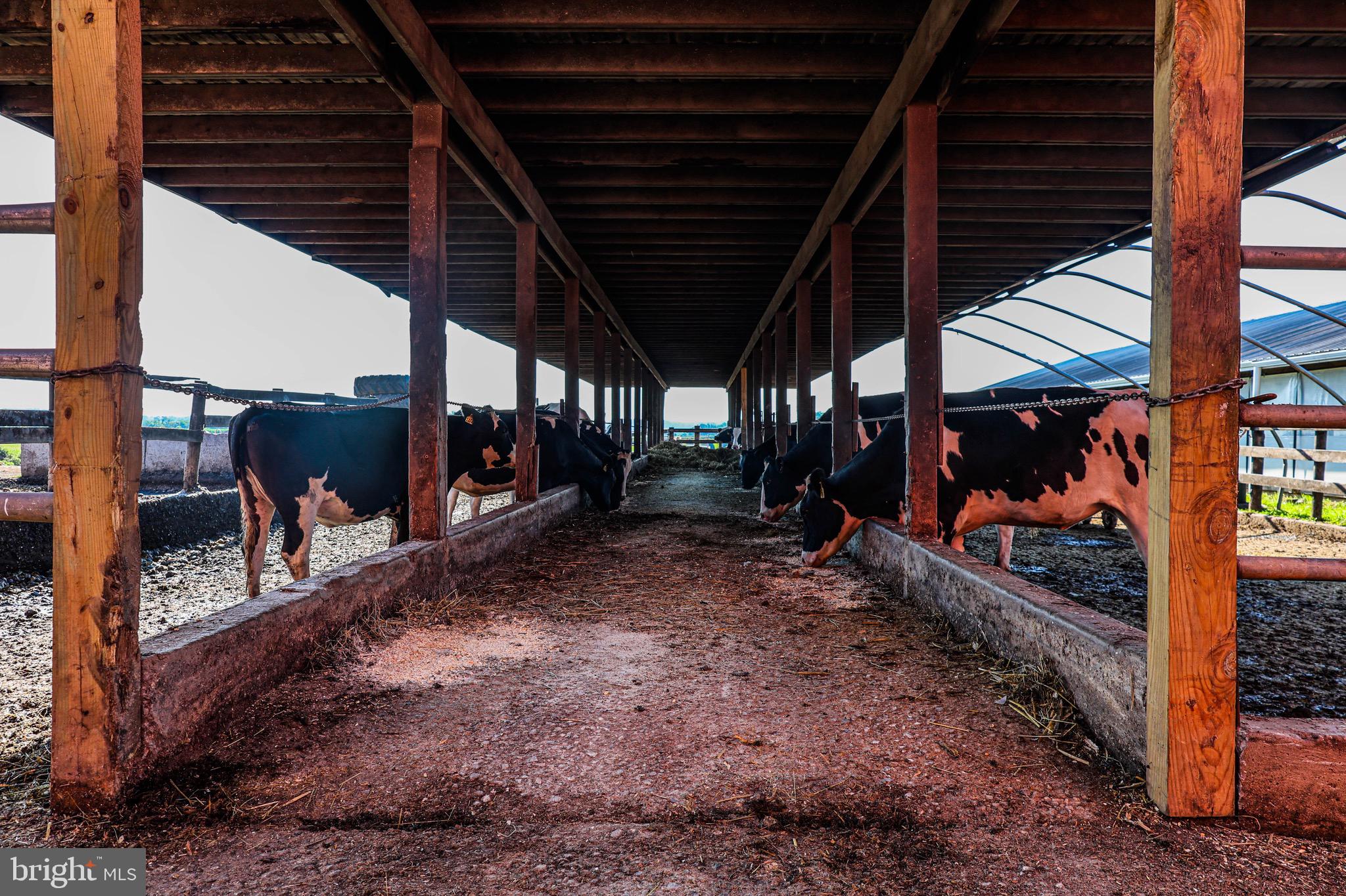 NONE AVAILABLE - Farm