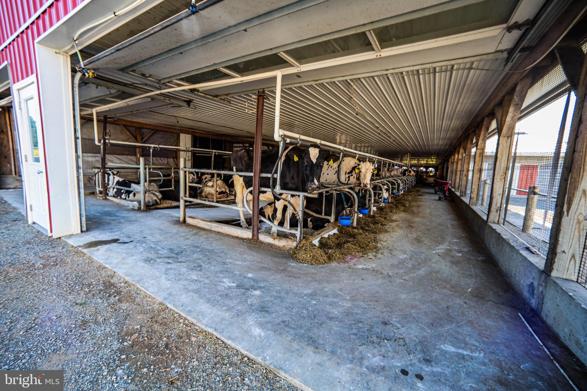 NONE AVAILABLE - Farm