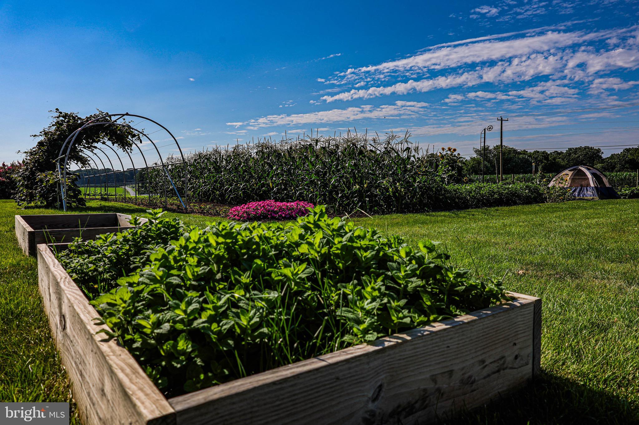 NONE AVAILABLE - Farm