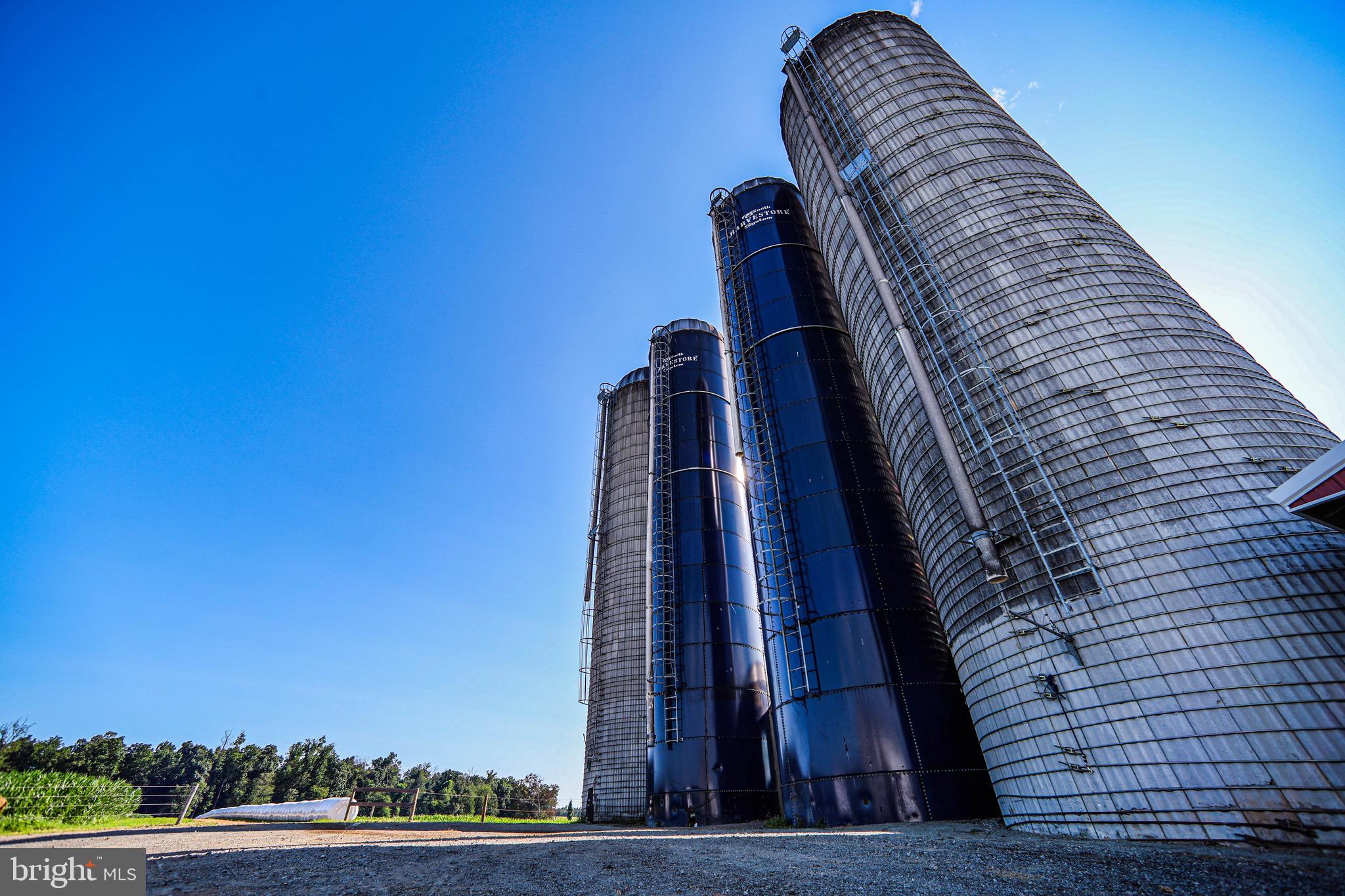 NONE AVAILABLE - Farm