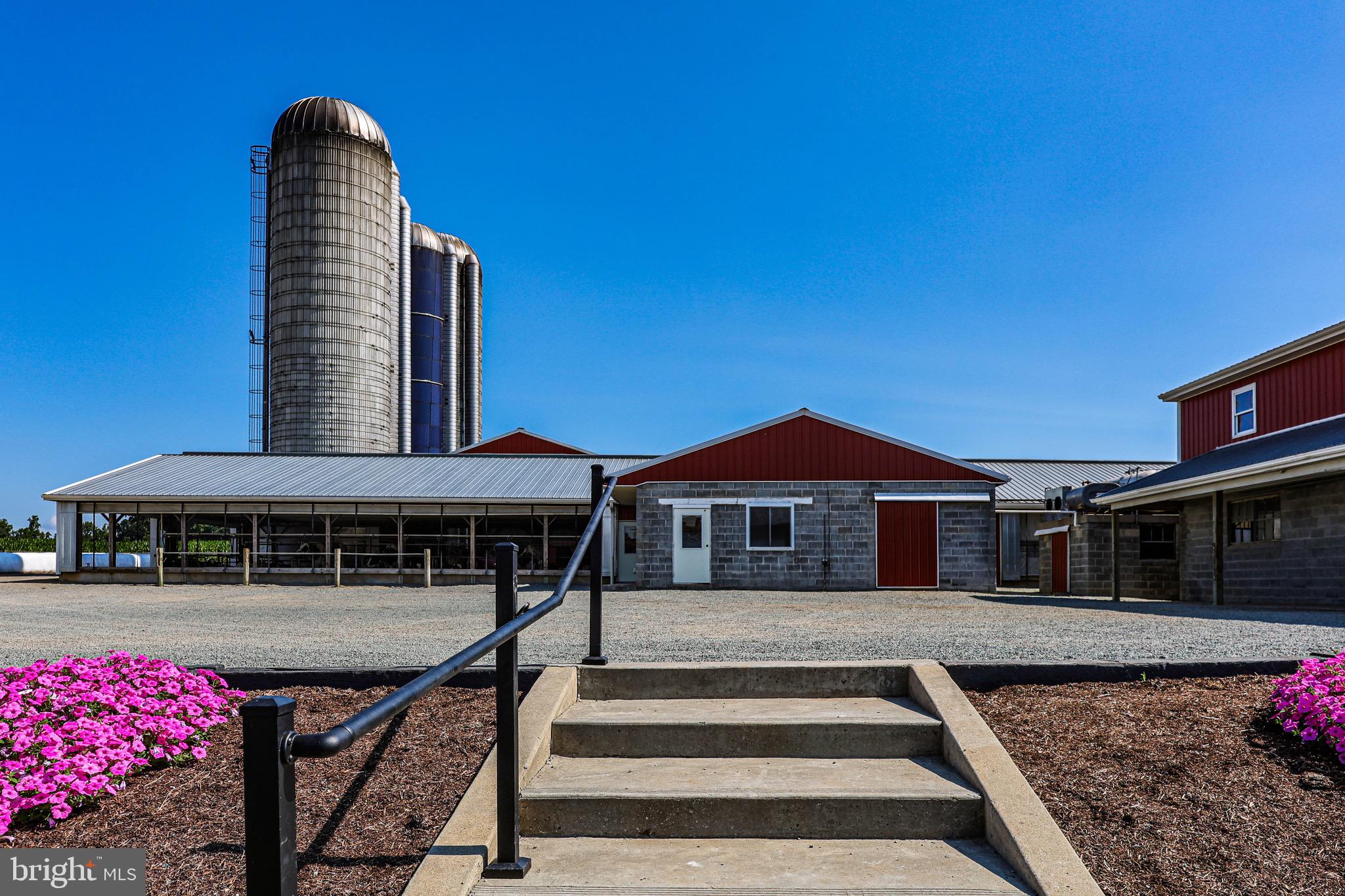 NONE AVAILABLE - Farm