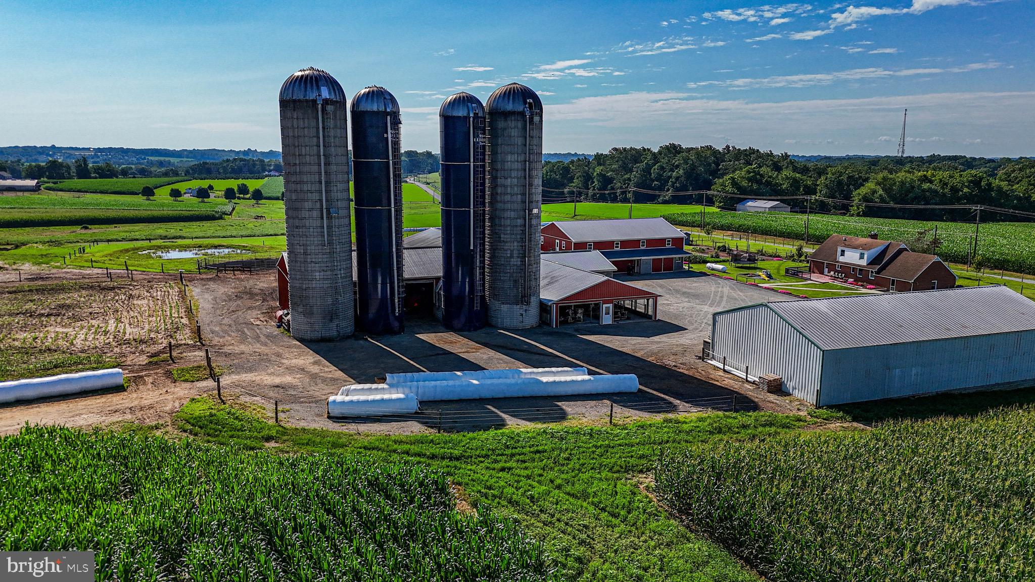 NONE AVAILABLE - Farm