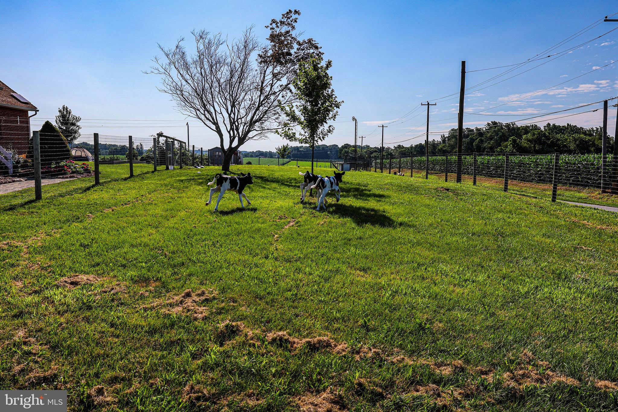 NONE AVAILABLE - Farm