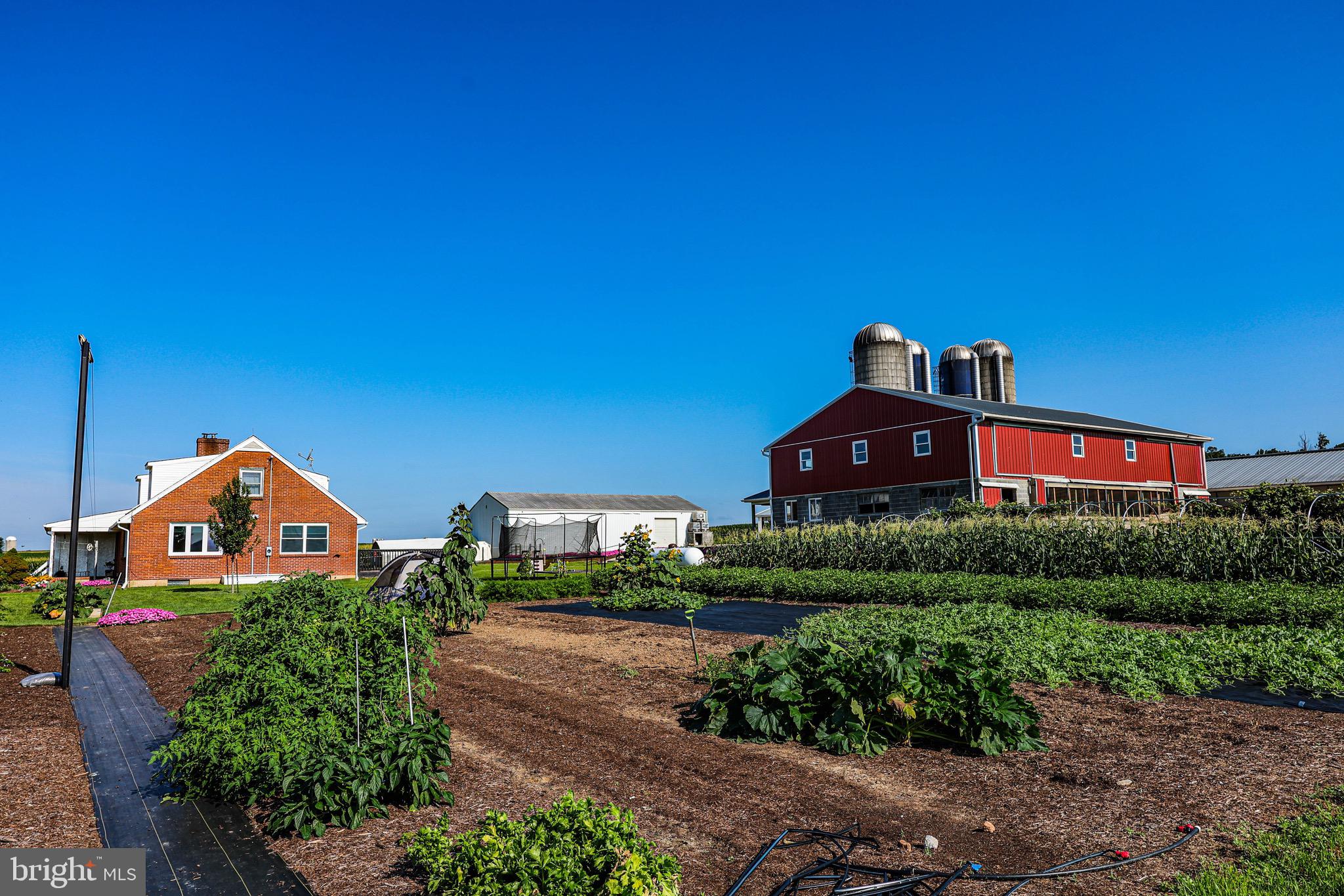 NONE AVAILABLE - Farm