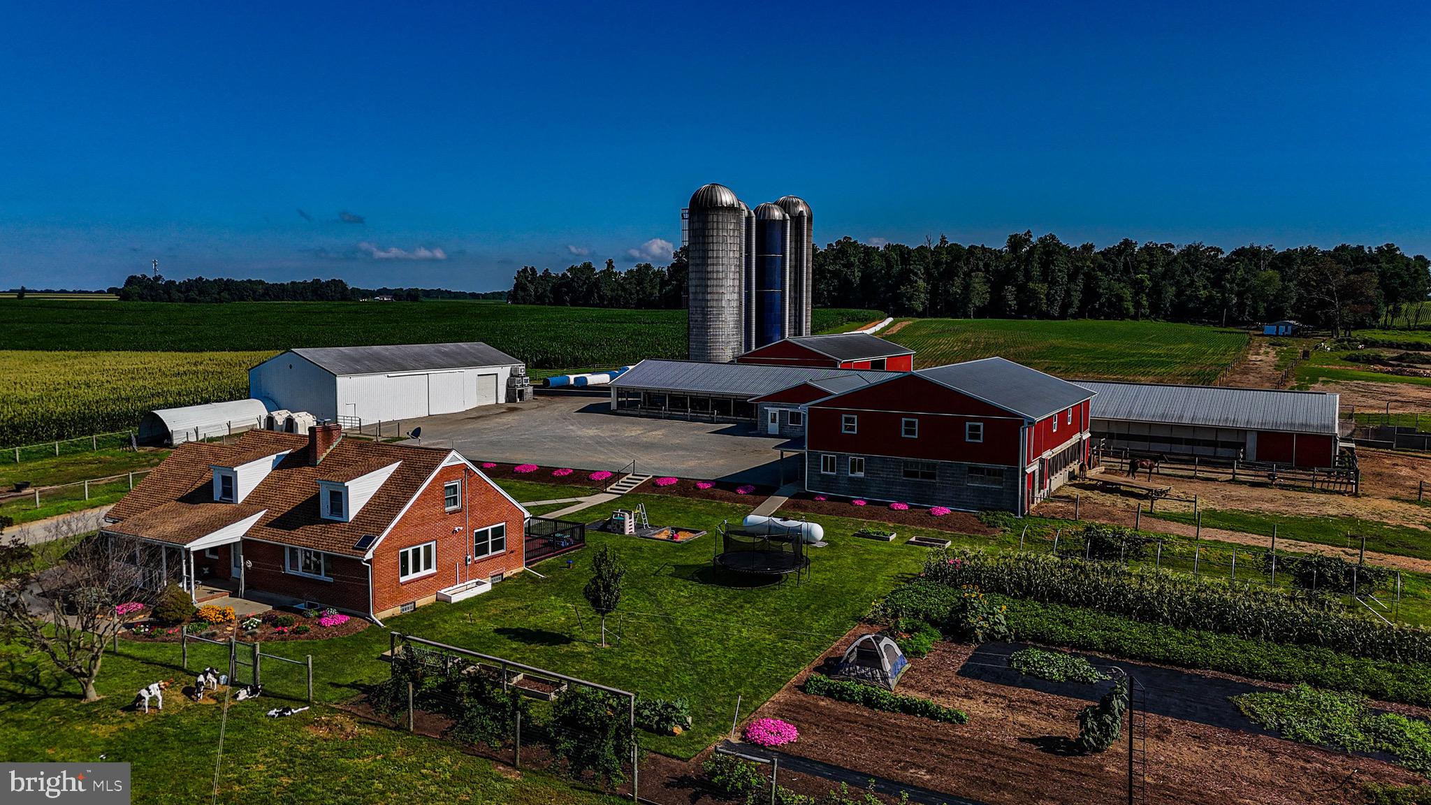 NONE AVAILABLE - Farm