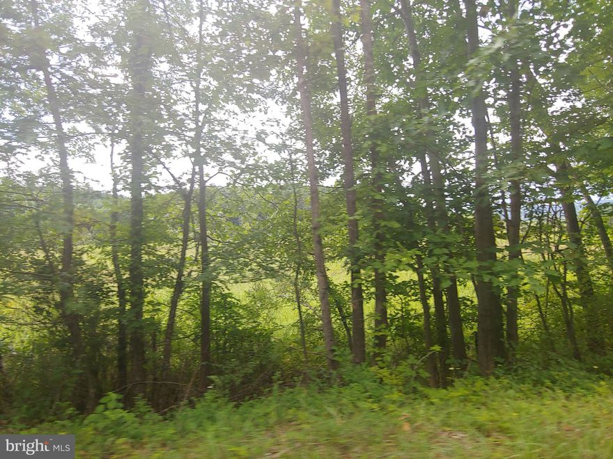 This lot is just raw land.  No perc no well no utilities.  Has a creek in the back of the property.  Has electric at the street(BearHill).  Previous owners were going to use it as a get a way camp or put a house on it but health issues and age stopped it...
The lot is almost flat.  Not sure if there is any part of the property that is in a flood zone.  Not sure of permitted uses.  Appears to have no restrictions and is considered esidential.
Call Allegany county zoning for details and permitted useage along with setbecks.
CALL ALLEGANY COUNTY ZONING DEPARTMENT DIRECTLY FOR ANSWERS:
301-777-5900