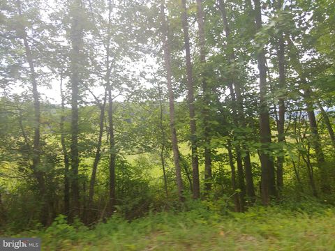 Vacant Land For Sale - Bear Hill Road<br/> OLDTOWN, MD 21555