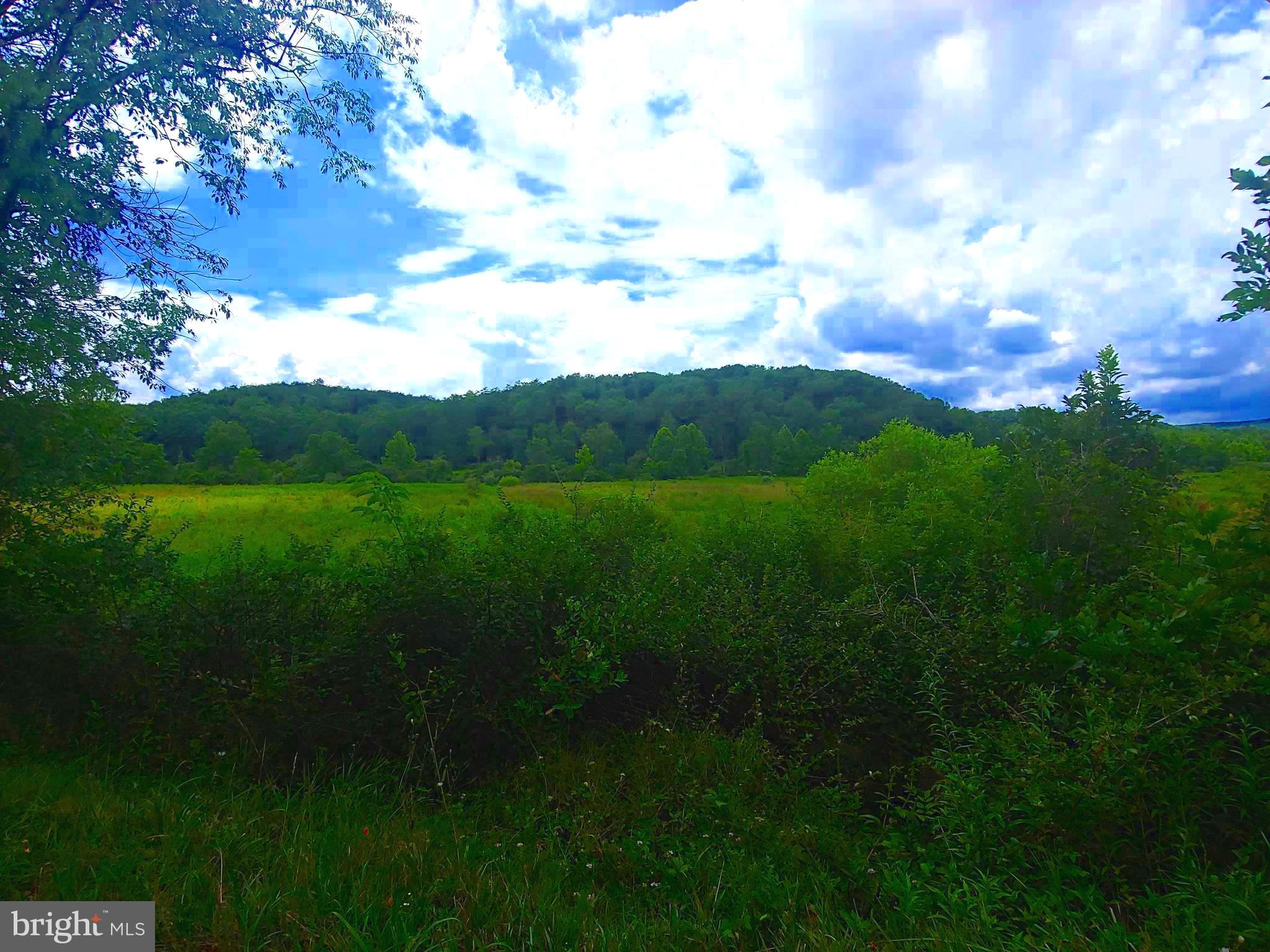 Three acres. Nice flat lot.