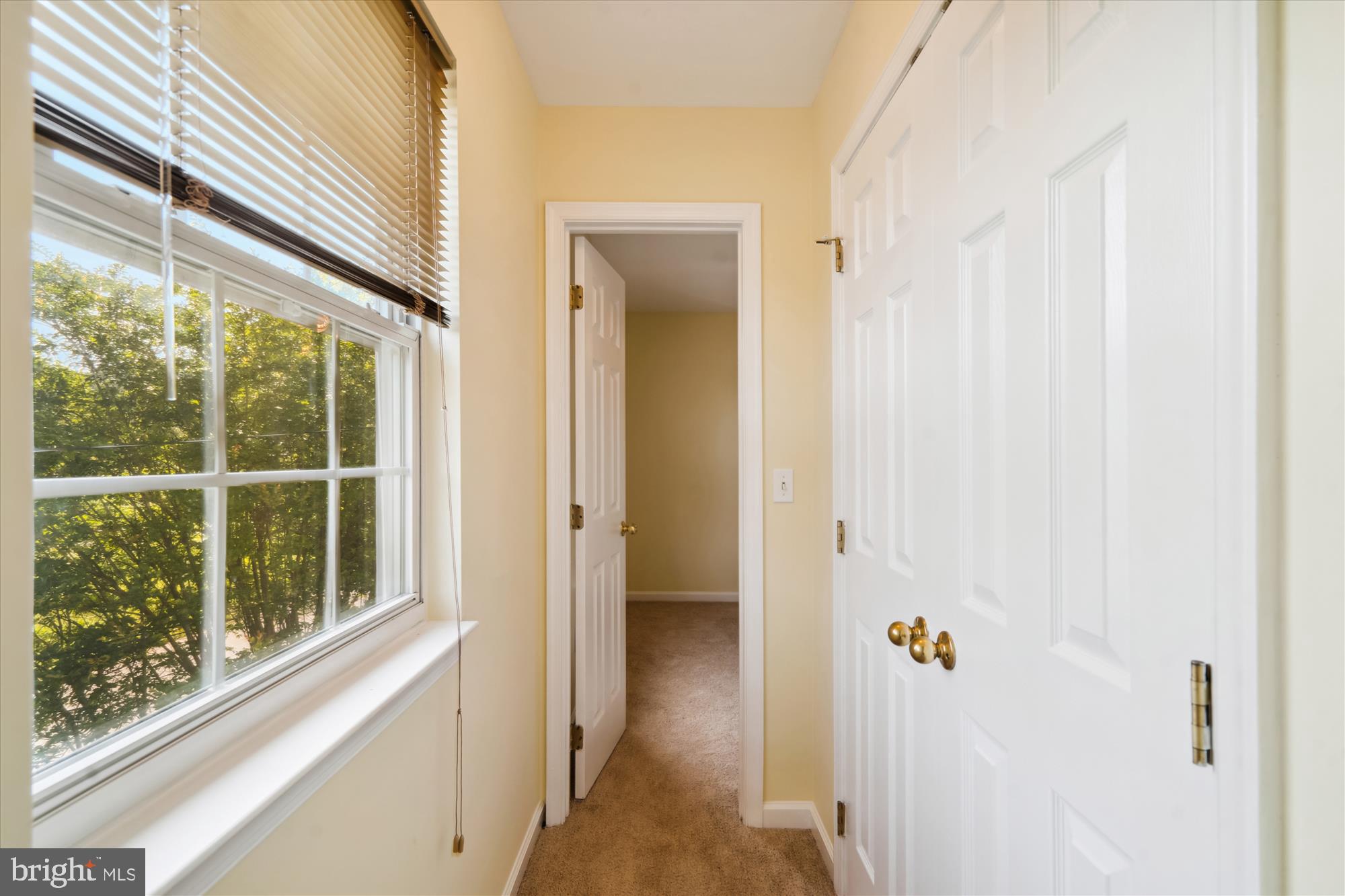 ELVATON HEIGHTS - Residential