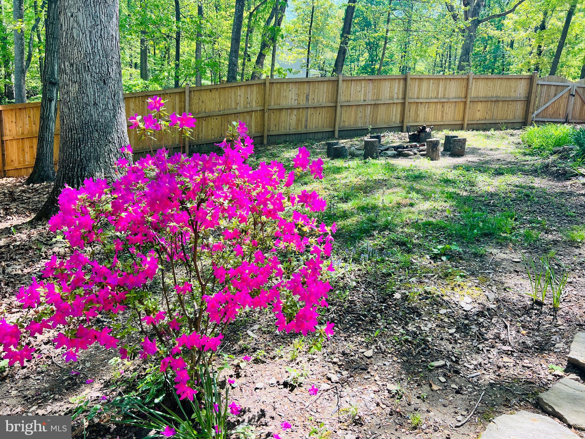 SHANNONDALE - Residential