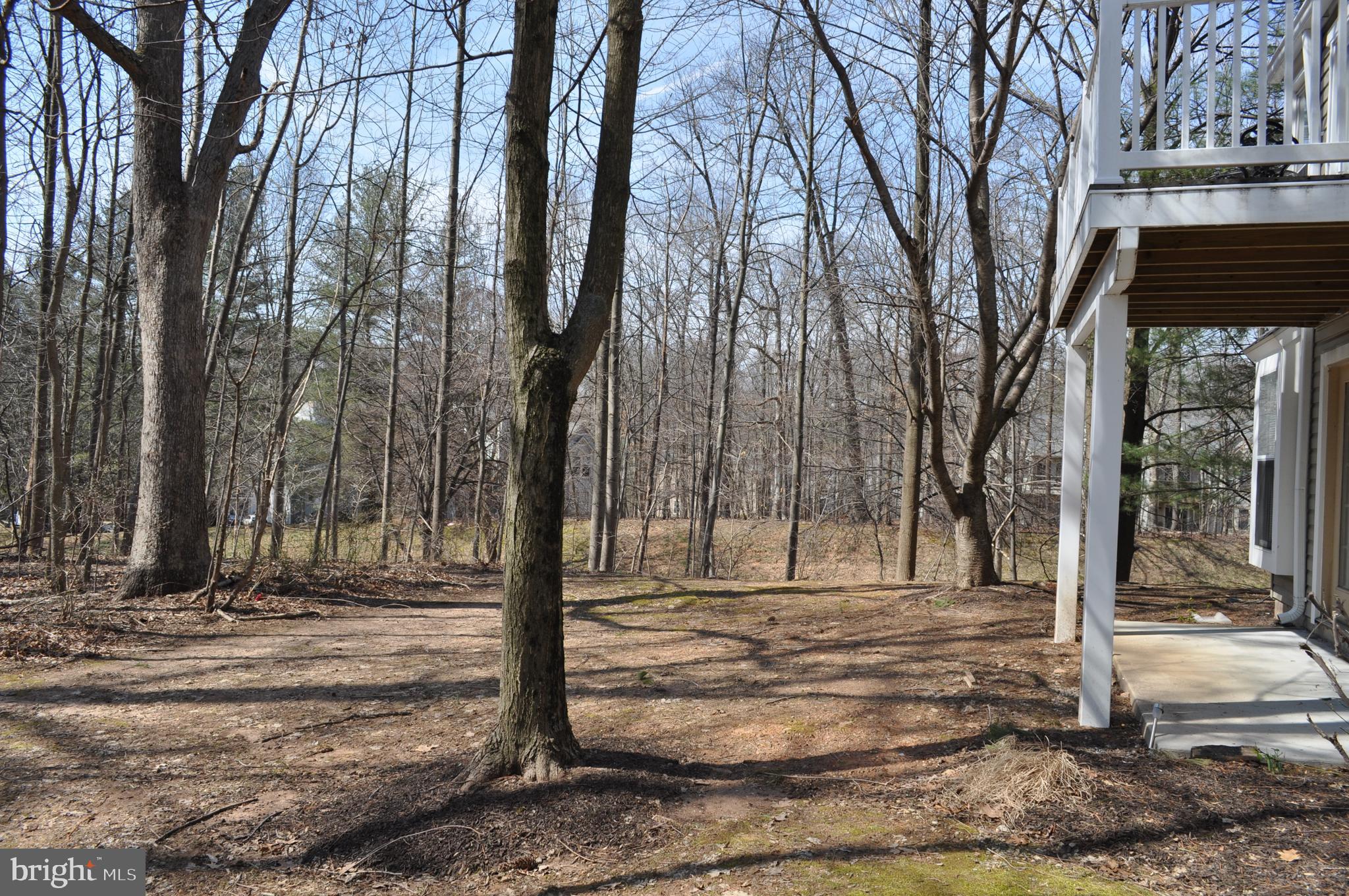 CLARY'S FOREST - Residential Lease