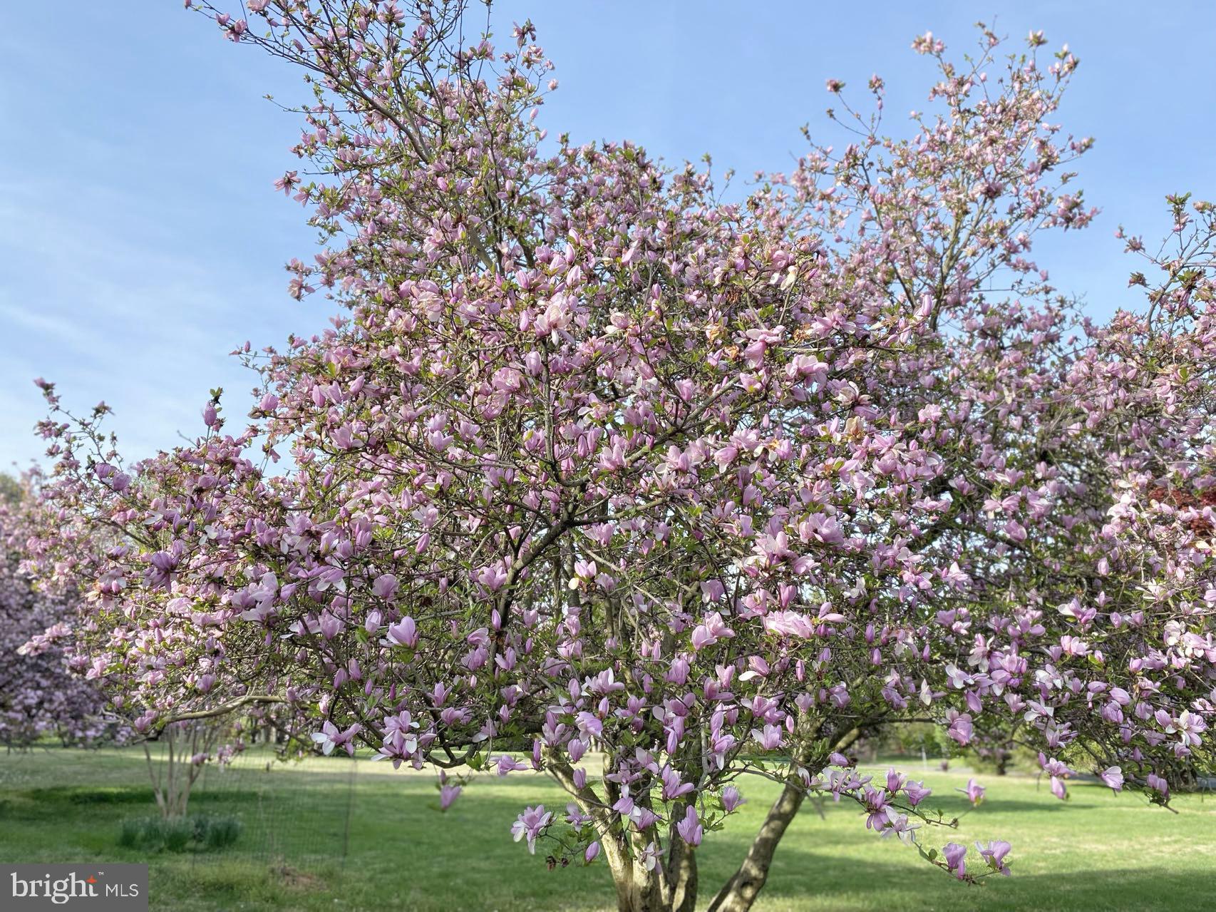 GLEN HILLS - Residential
