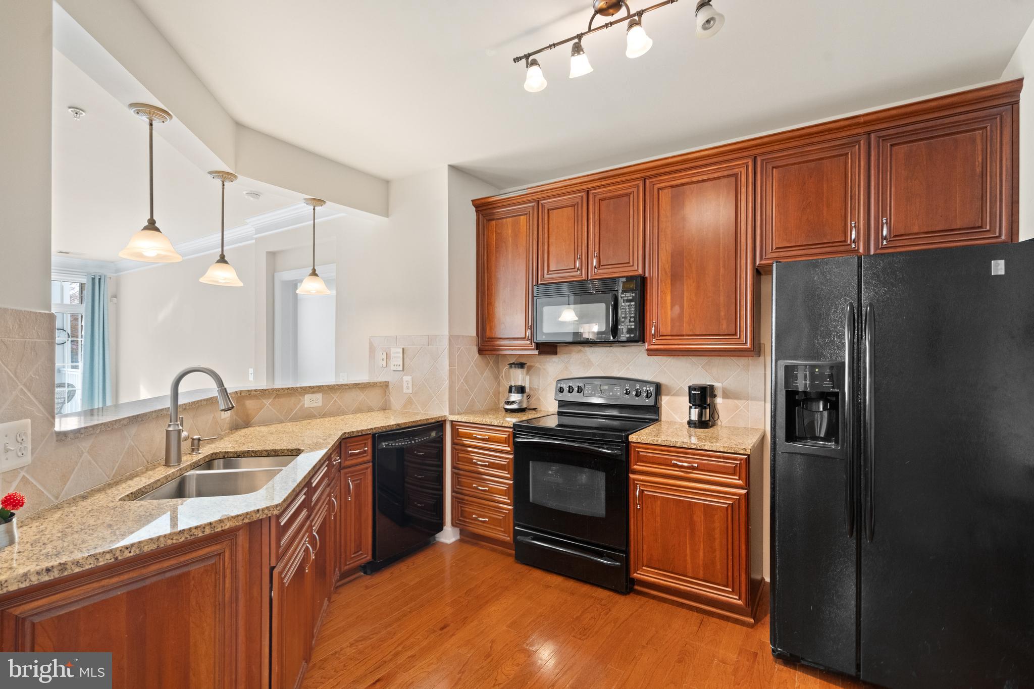 REGENCY AT DOMINION VALLEY - Residential