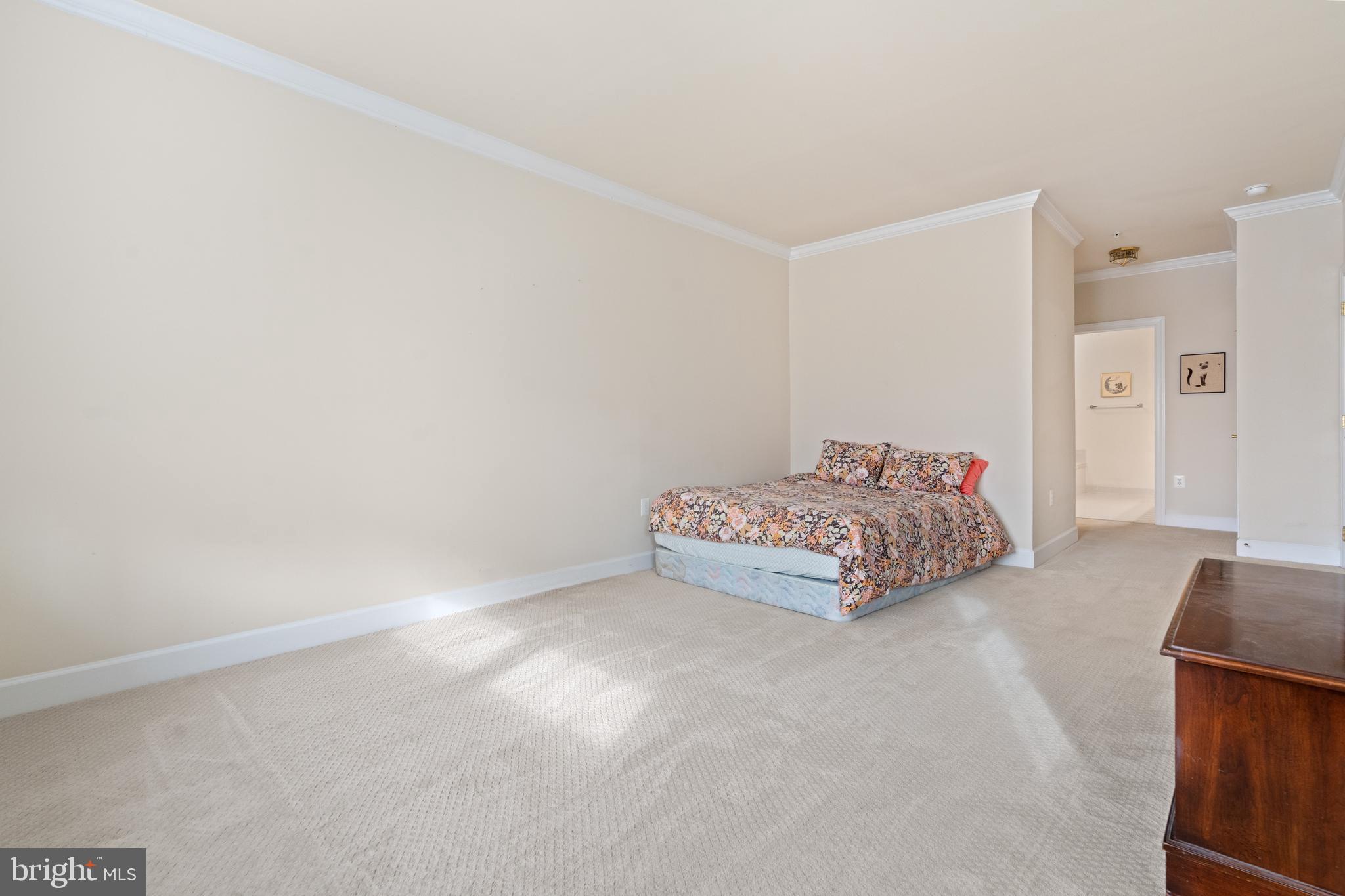 REGENCY AT DOMINION VALLEY - Residential