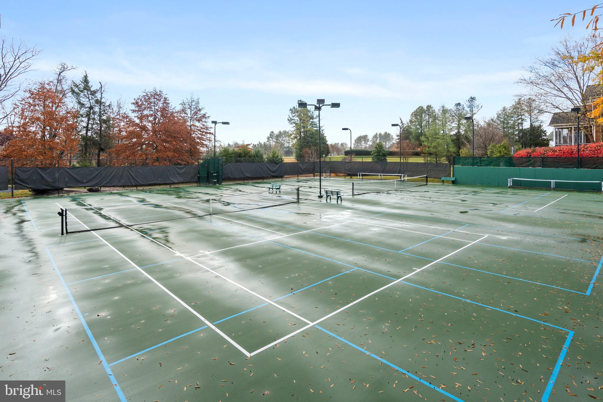 REGENCY AT DOMINION VALLEY - Residential