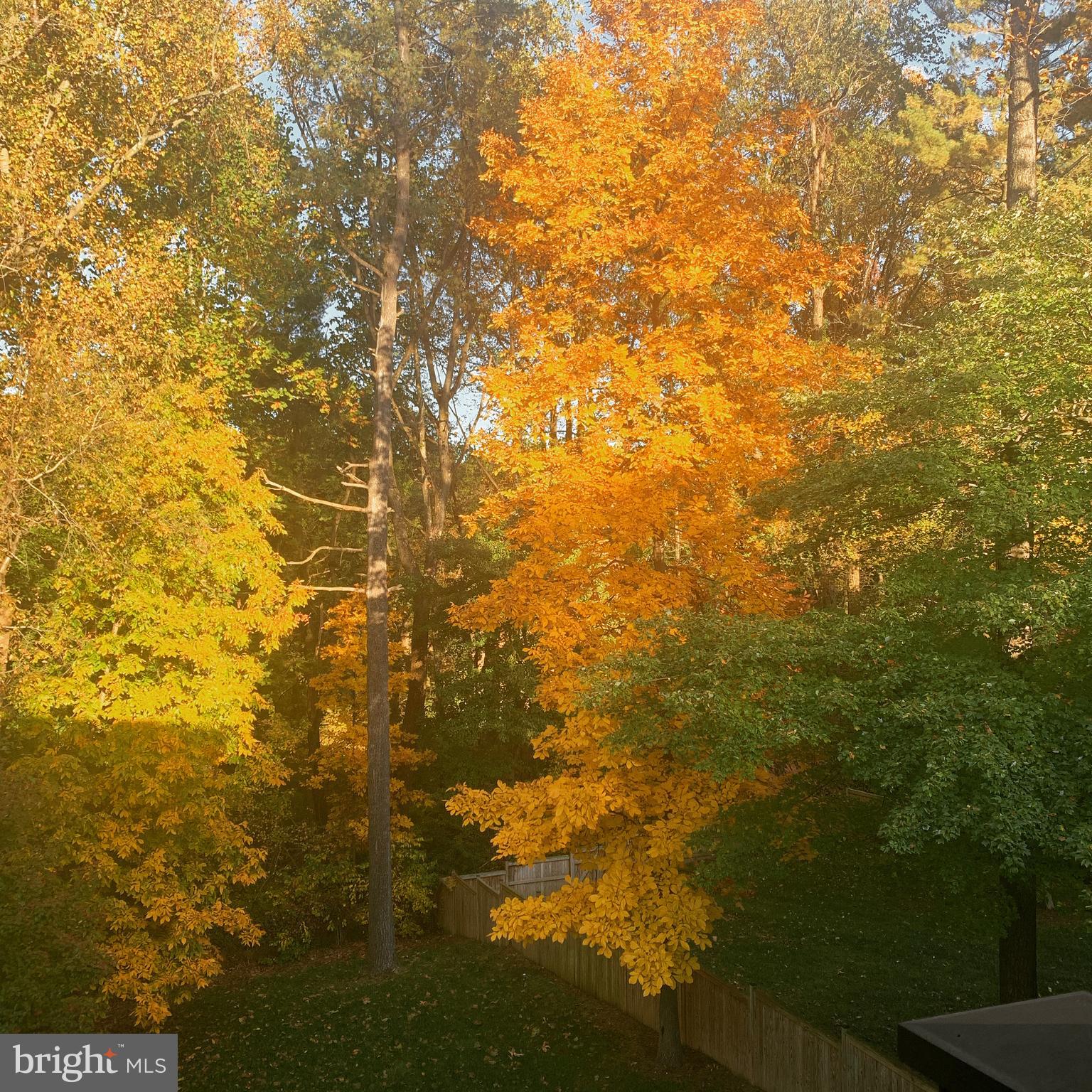 VIENNA WOODS - Residential